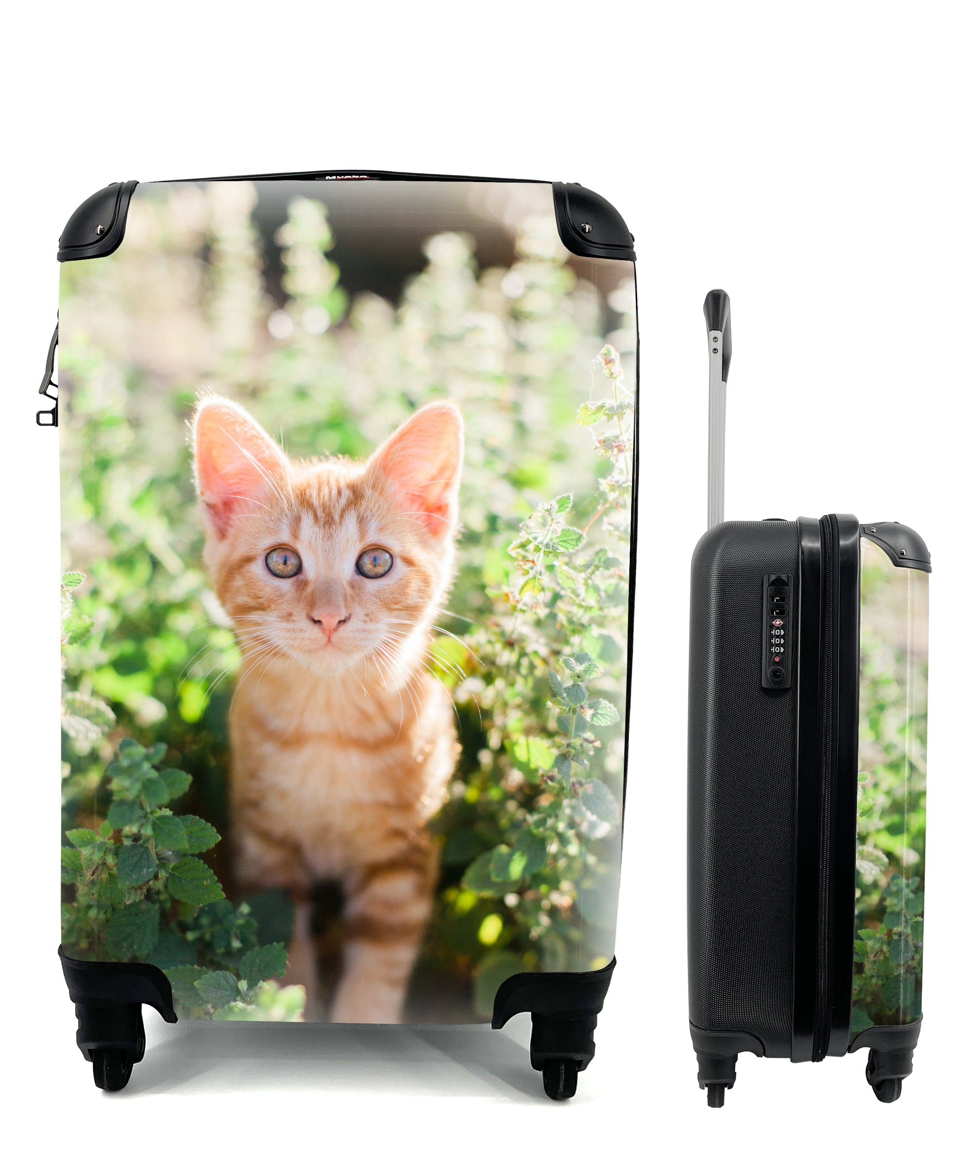 MuchoWow Handgepäckkoffer Ein Porträt eines Kätzchens im Gebüsch, 4 Rollen, Reisetasche mit rollen, Handgepäck für Ferien, Trolley, Reisekoffer