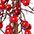 Winterliche Kunstpflanze Weihnachtsdeko, Weihnachtsgirlande Beeren, Creativ günstig online kaufen
