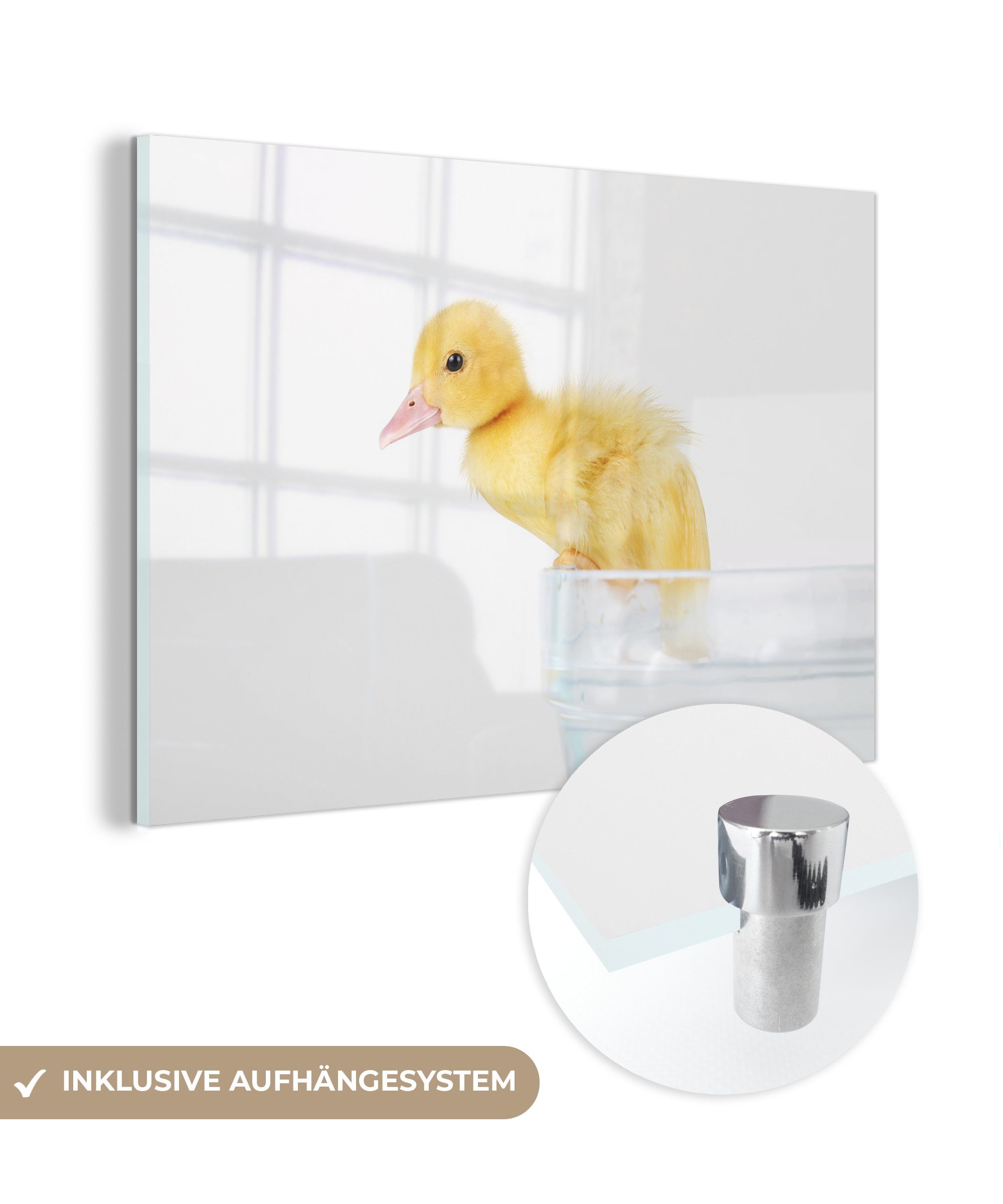 MuchoWow Acrylglasbild Baby-Ente klettert aus einer Wanne, (1 St), Acrylglasbilder Wohnzimmer & Schlafzimmer