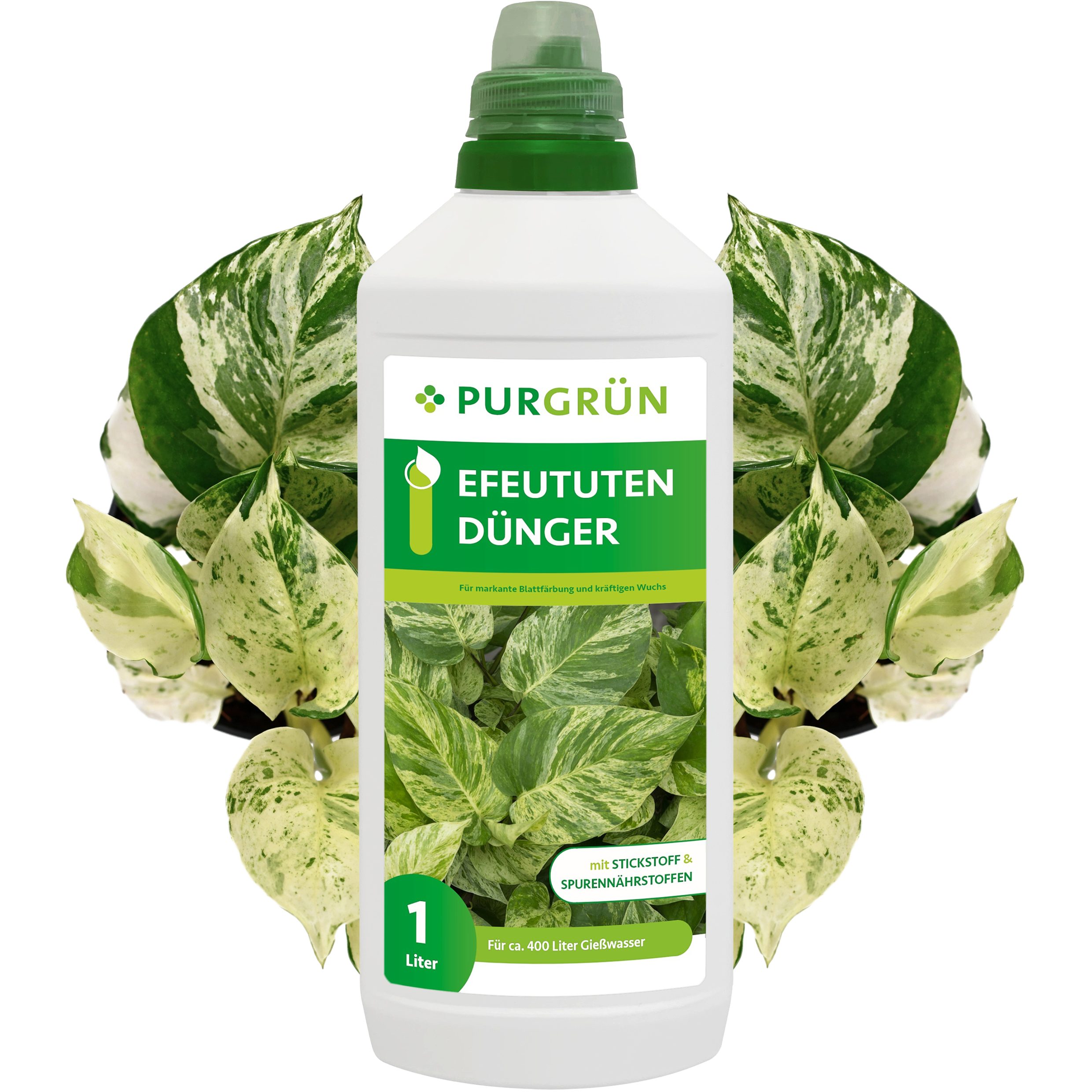 Universaldünger Purgrün Efeututen Dünger, NPK 10+4+6, für intensive Blattfärbung, 1L