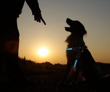 PRECORN Hunde-Geschirr Geschirr LED Hundegeschirr Leuchthalsband Leuchtgeschirr Brustgeschirr in der Farbe blau Sicherheitsgeschirr inkl. Batterie Hund Katze Haustier (Größe S,M oder L)