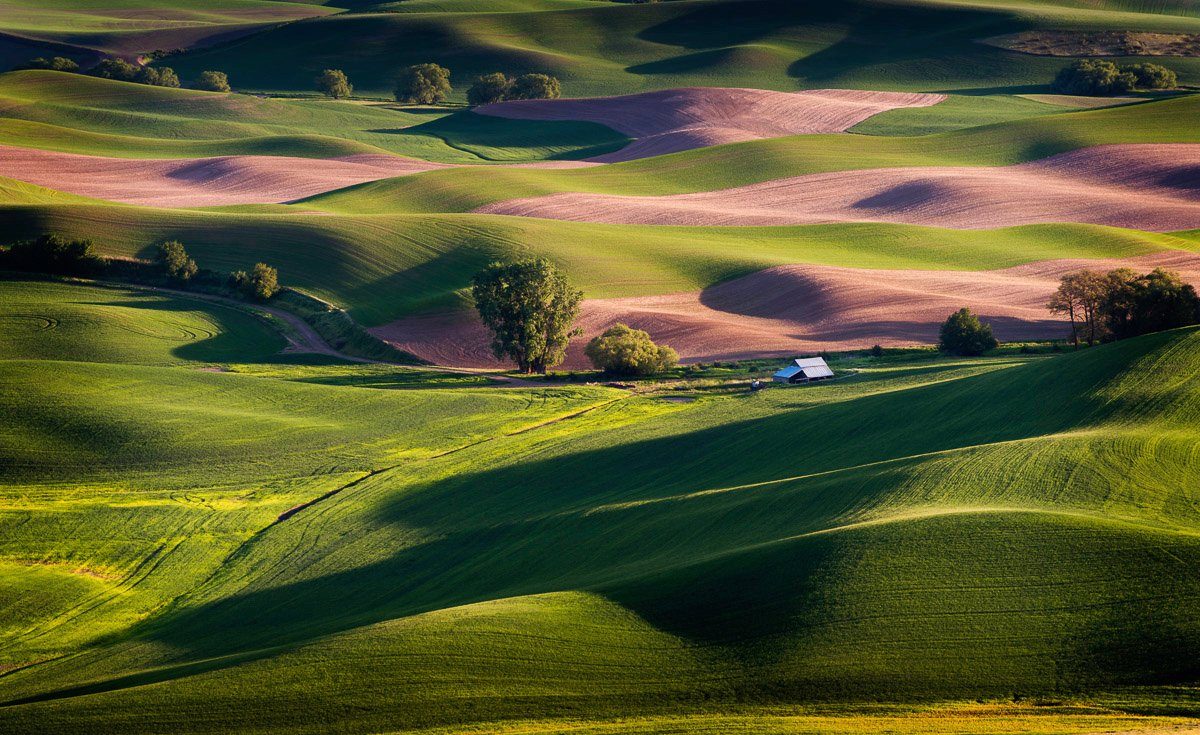 Fototapete Landschaft Papermoon