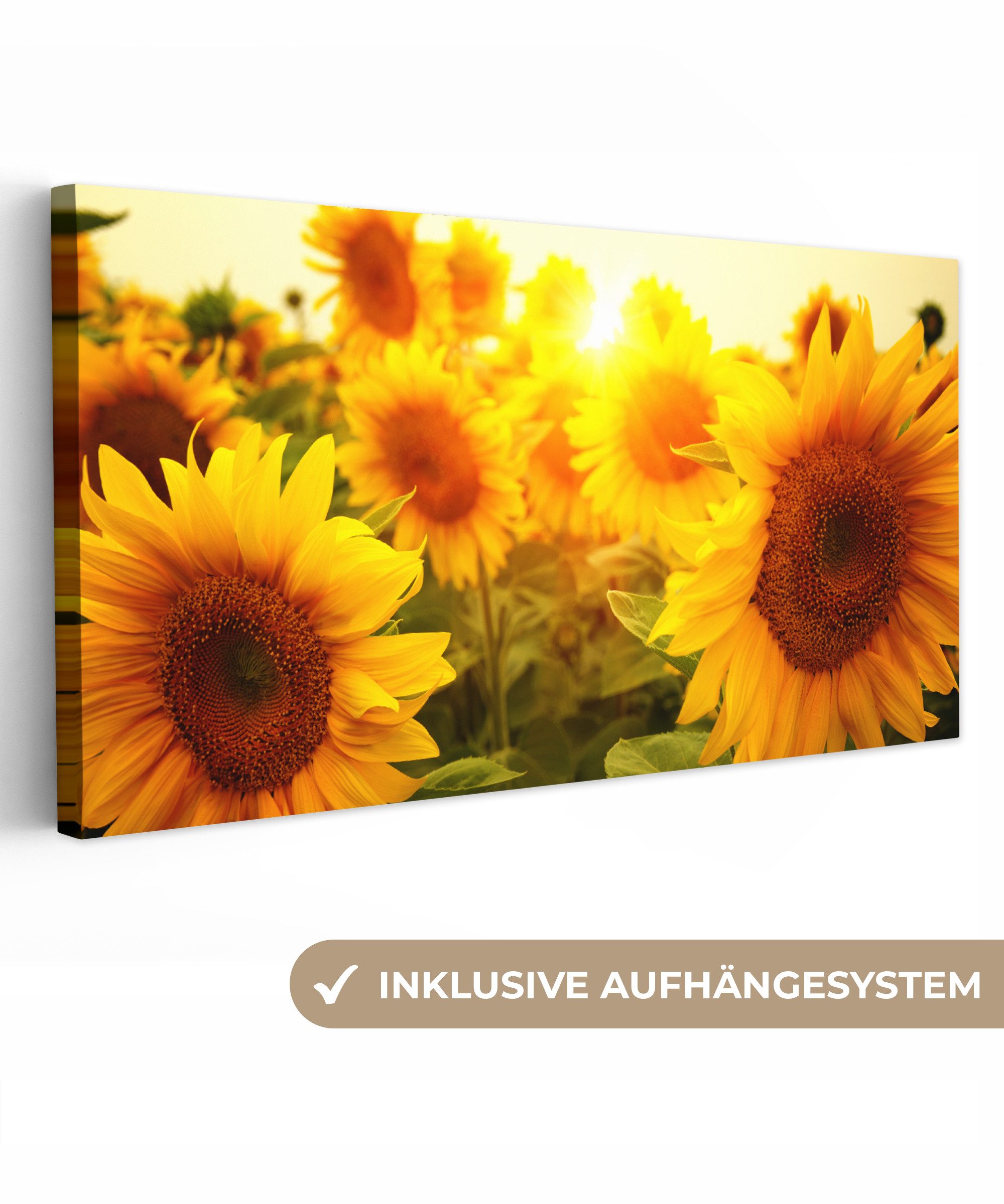 OneMillionCanvasses® Leinwandbild Panorama Sonnenblume - Gelb - Blumen - Sonne, Fotodruck (1 St), Wandbild, Deko Schlafzimmer Wohnzimmer Flur 40x20 cm