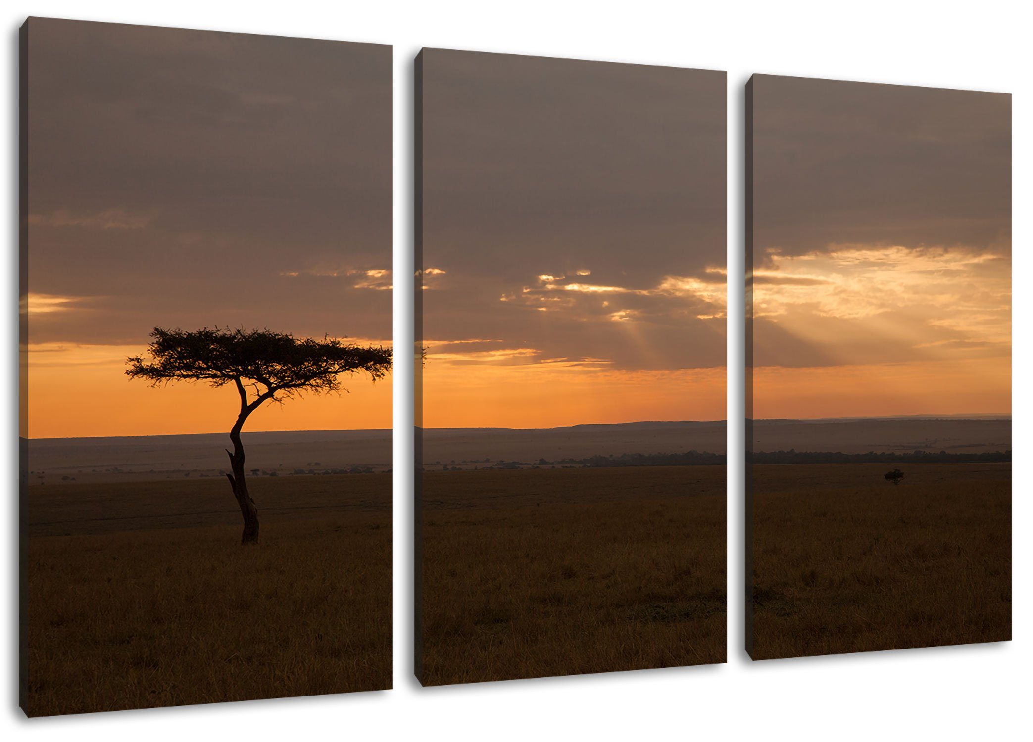 Pixxprint Leinwandbild Sonneneinfall in Savanne inkl. Leinwandbild fertig 3Teiler die Zackenaufhänger bespannt, die Sonneneinfall (1 St), Savanne, (120x80cm) in