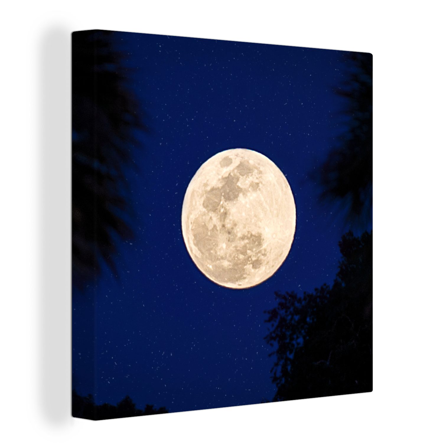 OneMillionCanvasses® Leinwandbild Mond - Bäume - Nacht, (1 St), Leinwand Bilder für Wohnzimmer Schlafzimmer