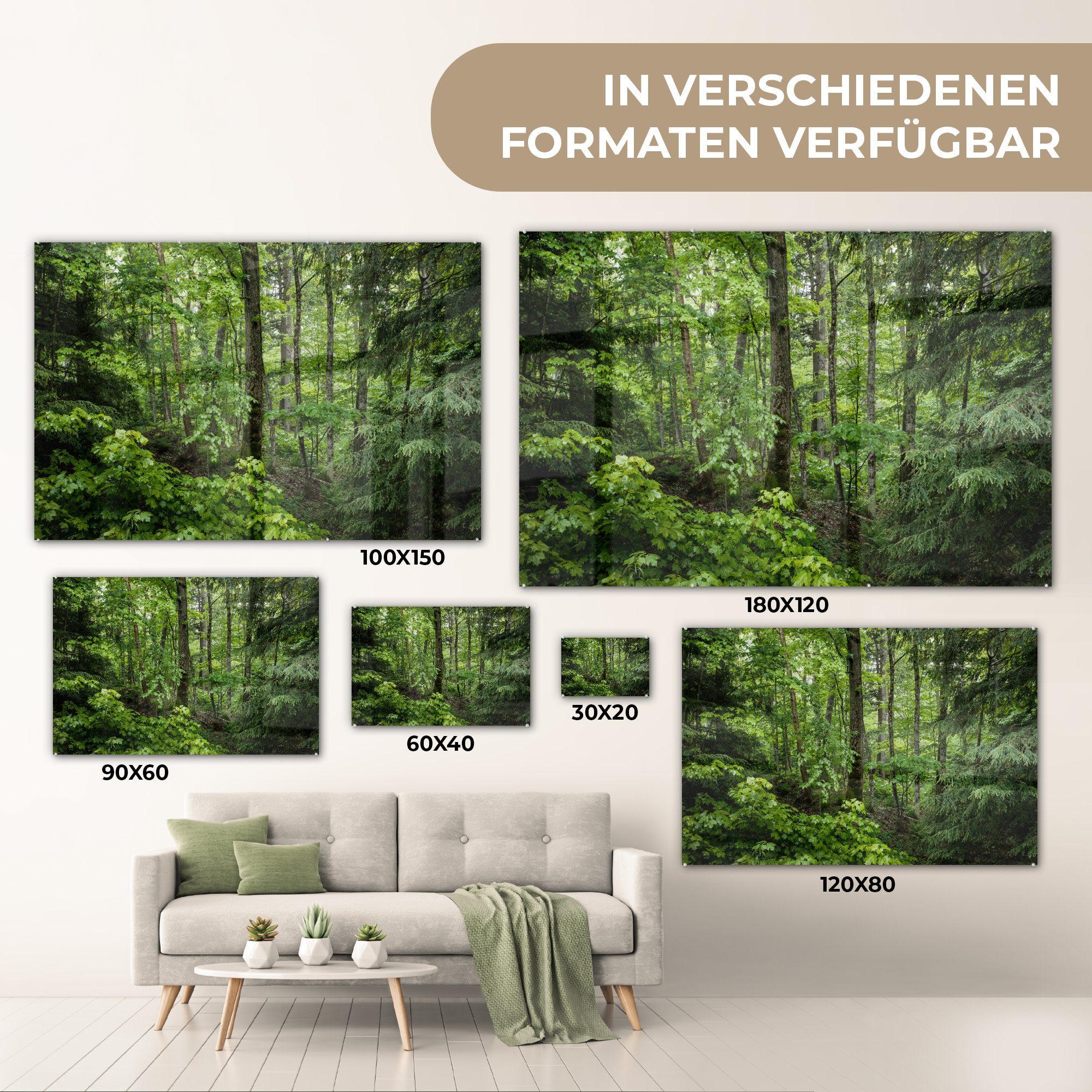 MuchoWow Acrylglasbild Wald Schlafzimmer Grün, (1 Baum - Wohnzimmer Acrylglasbilder & St), 