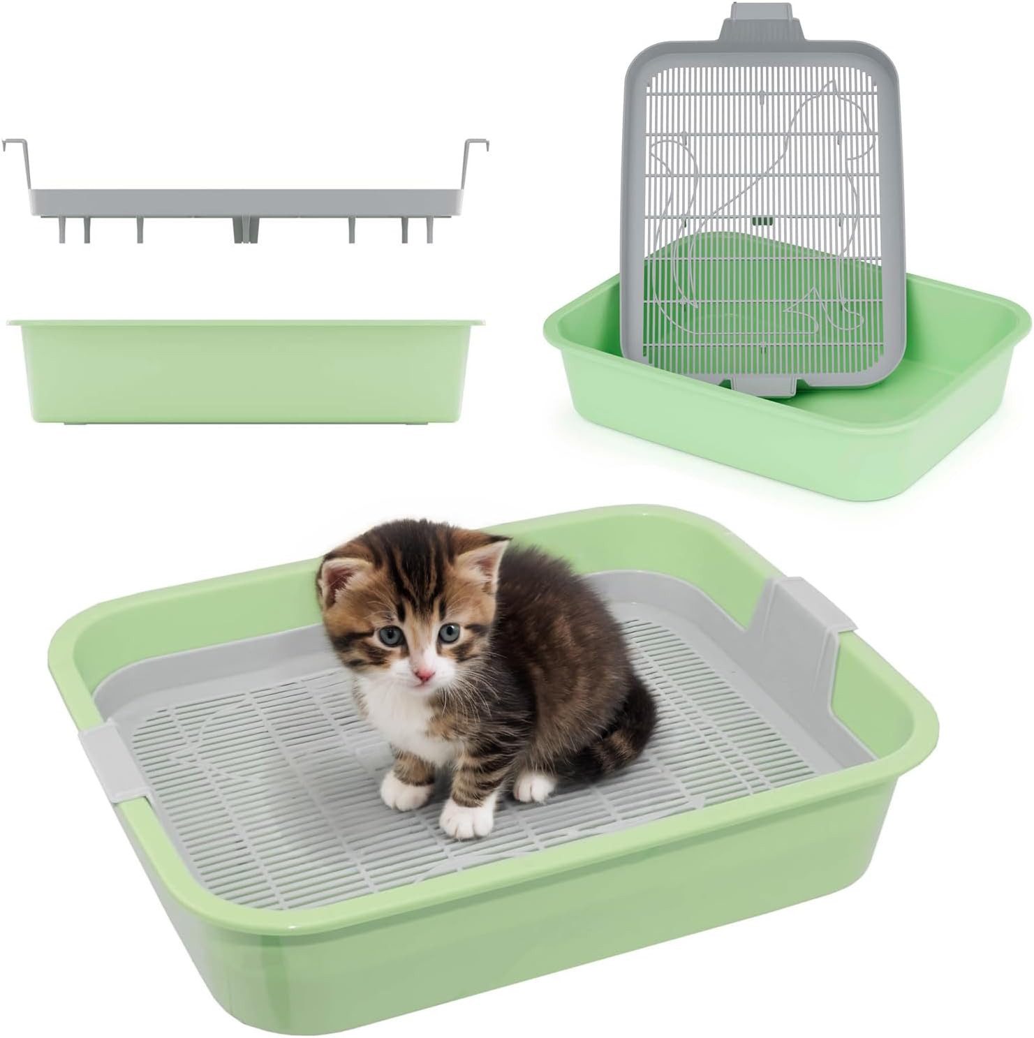 4BIG.fun Katzentoilette Katzentoilette Kleintiere Katzenklo Kätzchen Grün