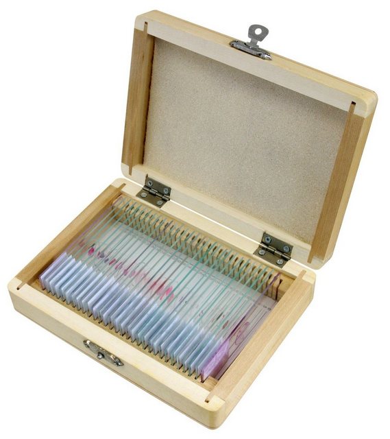 Bresser Dauerpräparate »Dauerpräparate: Histologie«