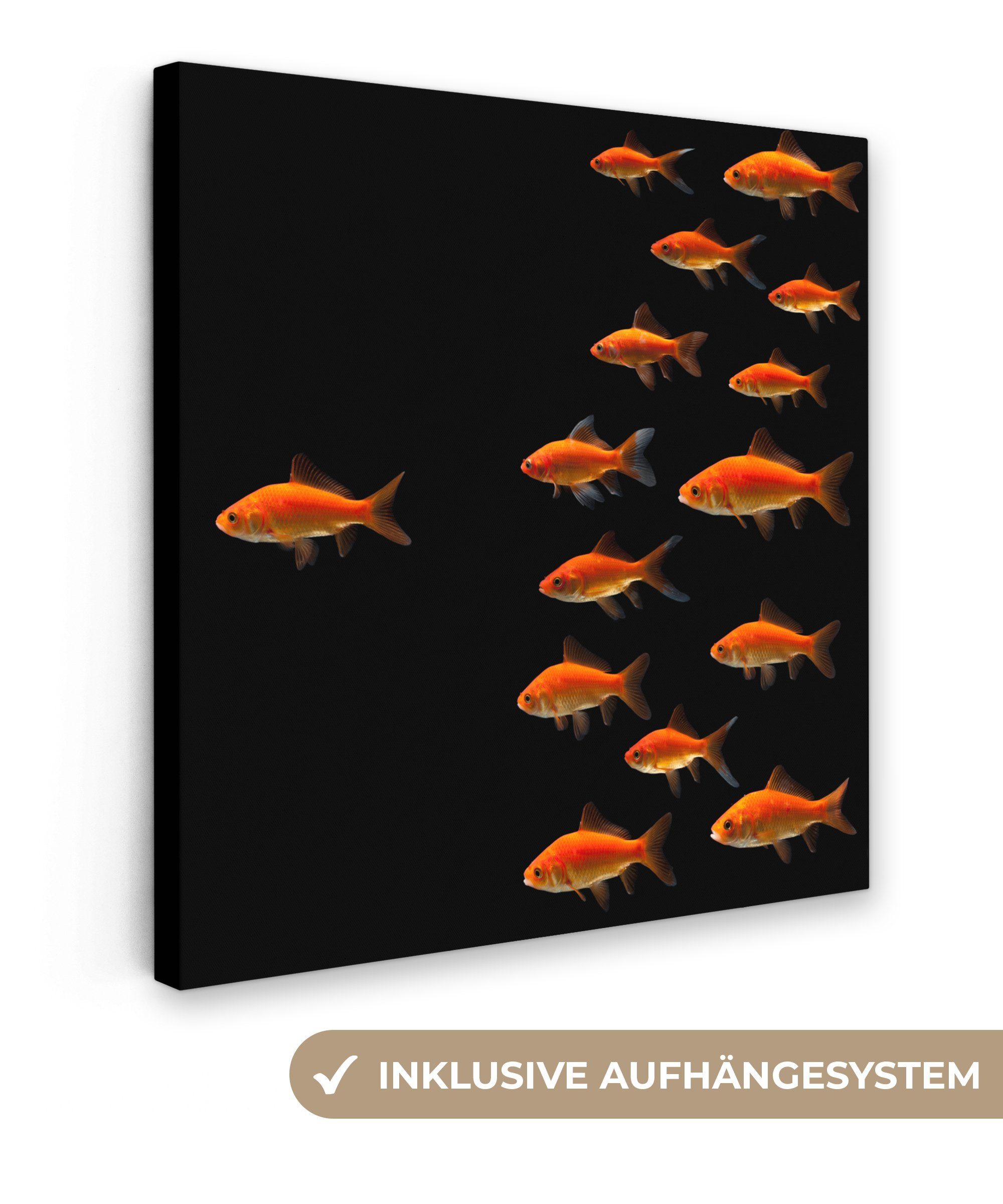 Leinwandbild für Goldfisch Bilder 20x20 (1 Tiere Leinwand - St), - Schwarz, cm Wohnzimmer OneMillionCanvasses® Schlafzimmer,