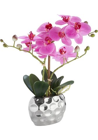  Kunstorchidee »Orchidee«
