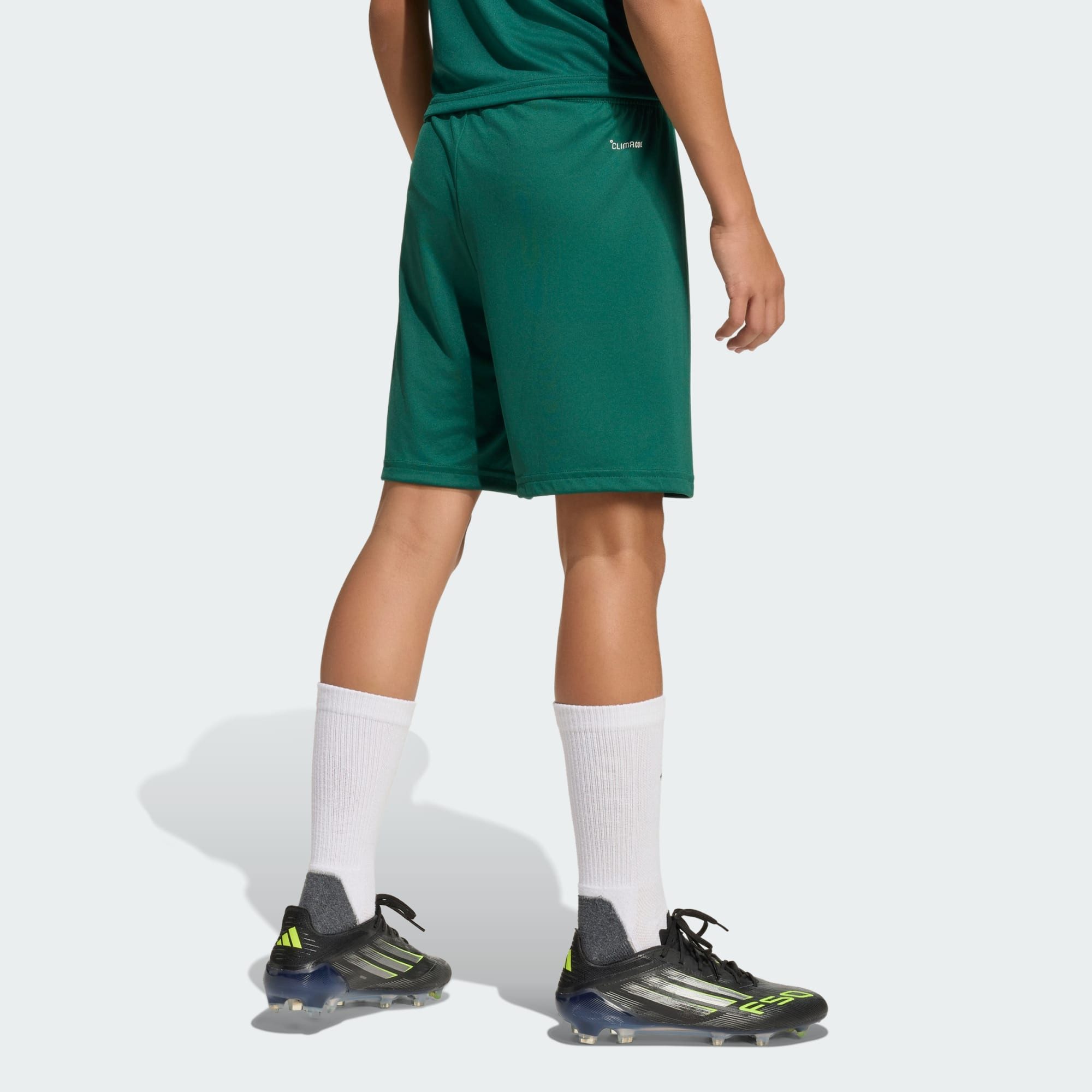 adidas Performance Shorts ENTRADA26 SHORTS KIDS (1-tlg)