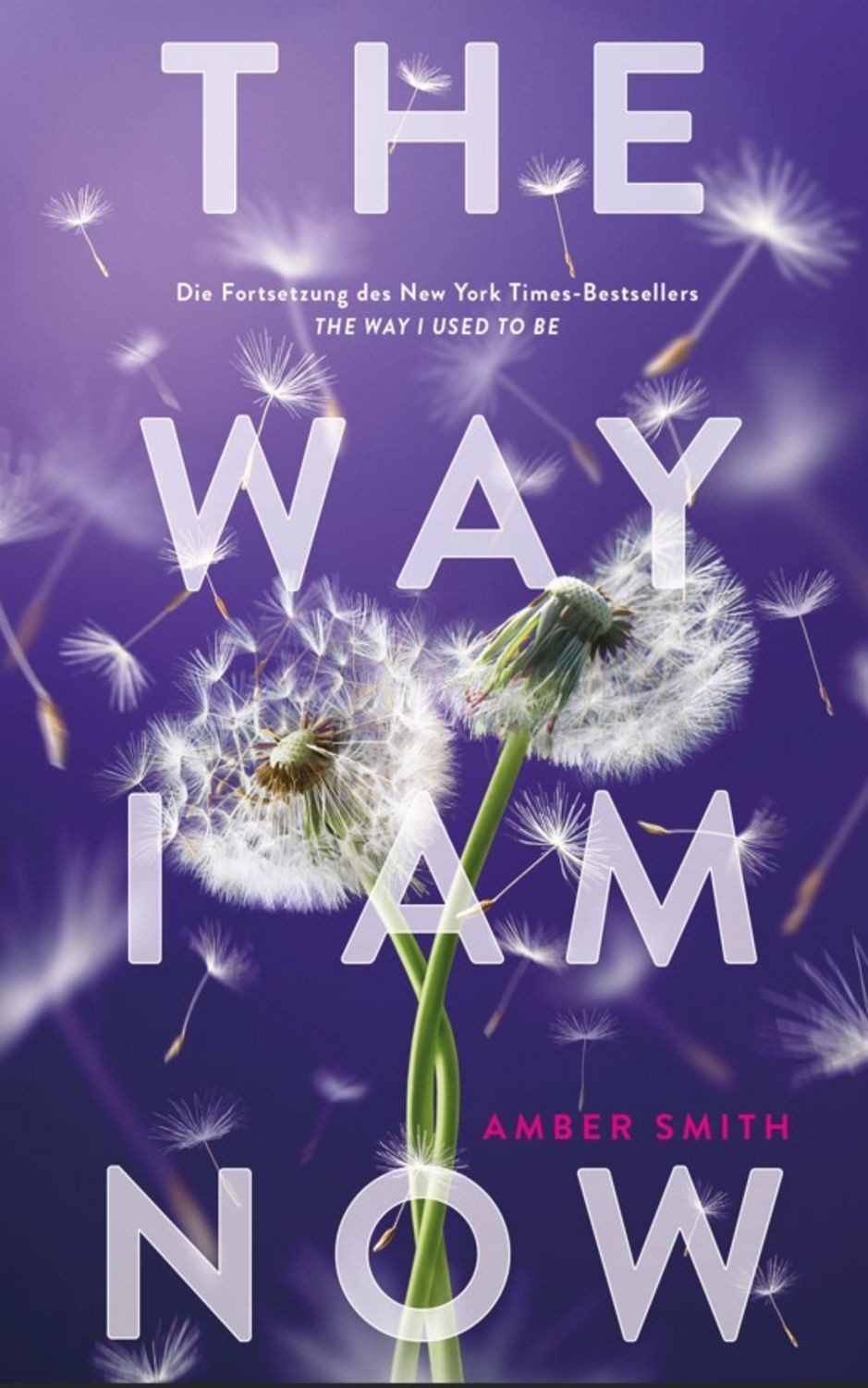 The way I am now / Amber Smith