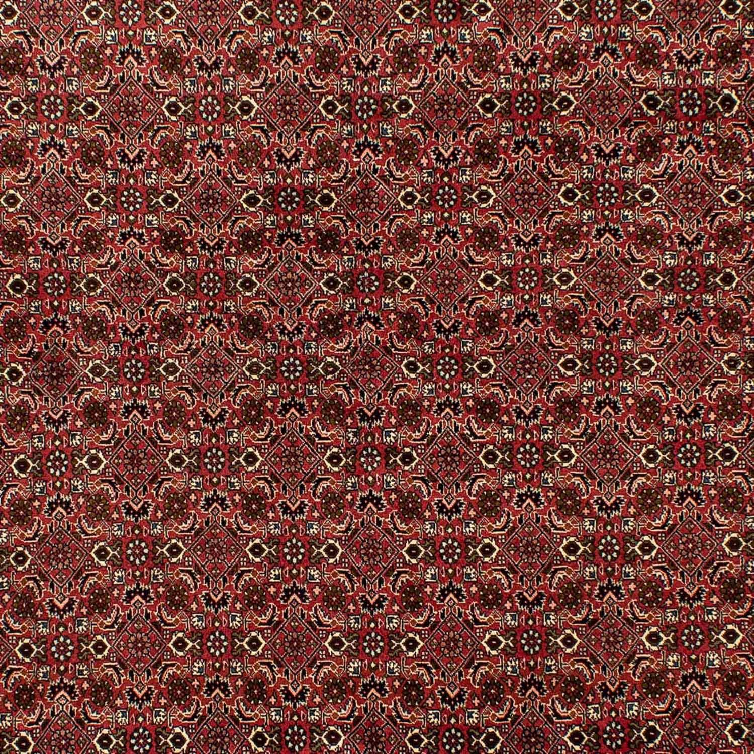 Orientteppich Perser - Bidjar - 284 15 x mit mm, 202 Handgeknüpft, cm - rechteckig, Einzelstück morgenland, Zertifikat Höhe: Wohnzimmer, braun