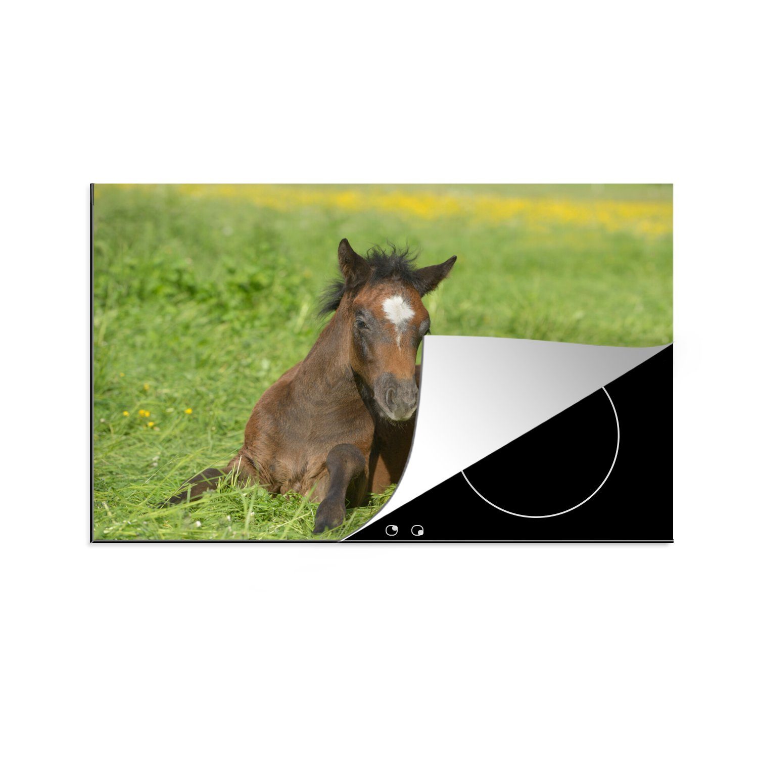 MuchoWow Herdblende-/Abdeckplatte Pferde - Licht - Gras, Vinyl, (1 tlg), 80x52 cm, Induktionskochfeld Schutz für die küche, Ceranfeldabdeckung