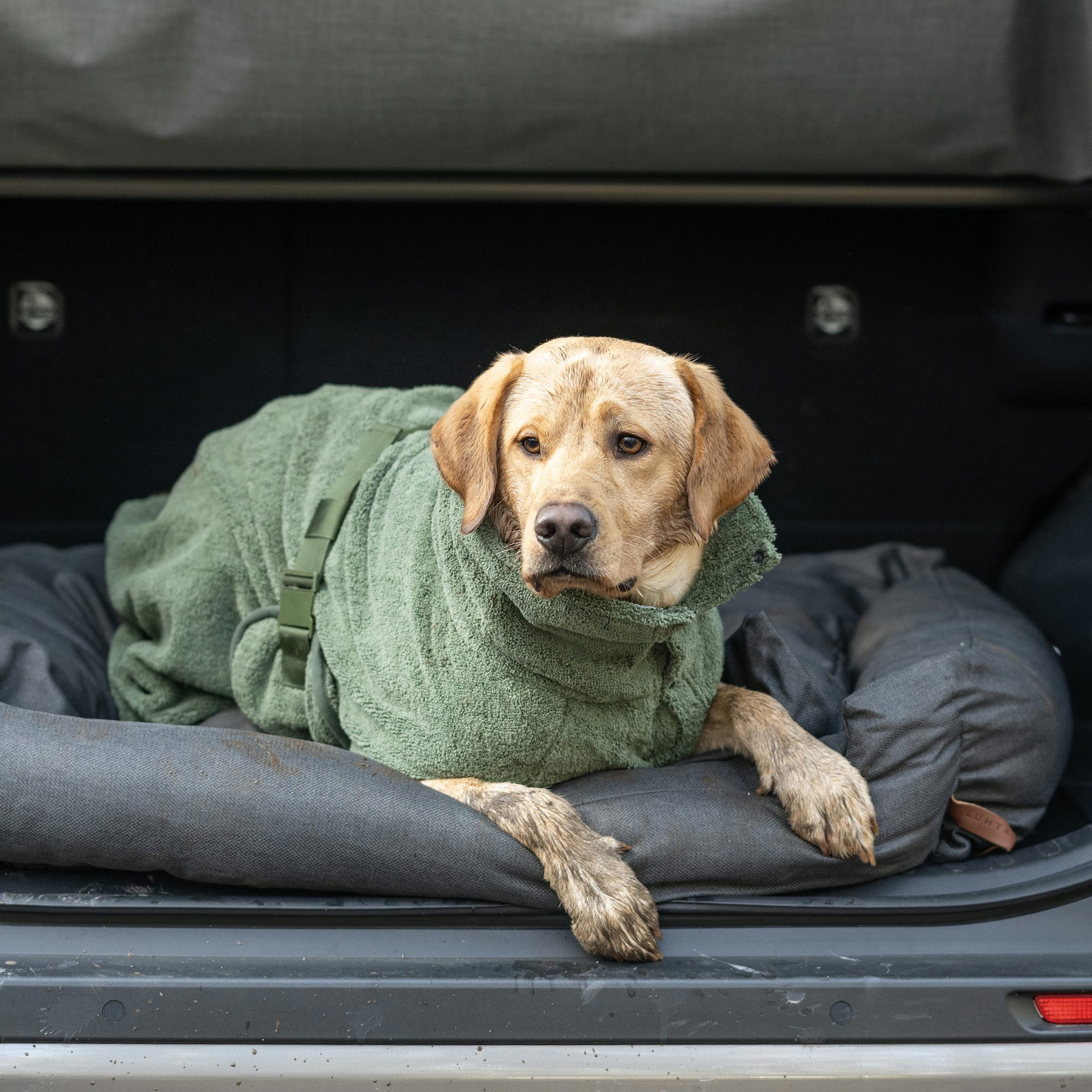 Rukka®Pets Hundebademantel Rukka® Hundebademantel Medea Dark Olive, in verschiedenen Größen