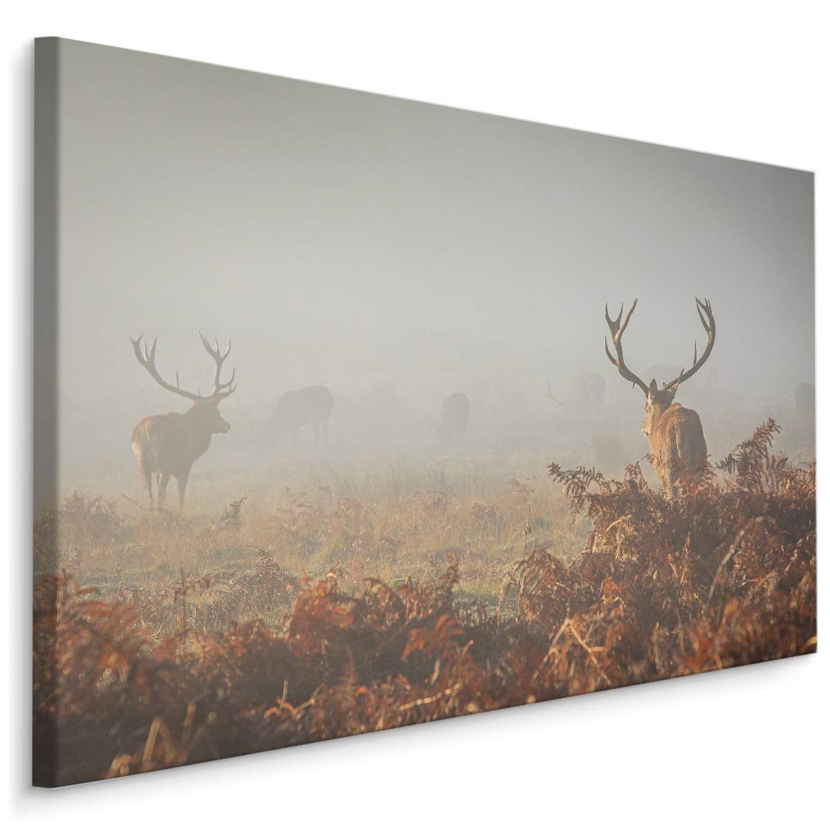 Muralo Leinwandbild Tiere – Leinwandbild Wandbild Kunstdruck Wohnzimmer, Natur (1 St), Wildtiere – Hirsche im Nebel, 70 x 50 cm, aufhängefertig