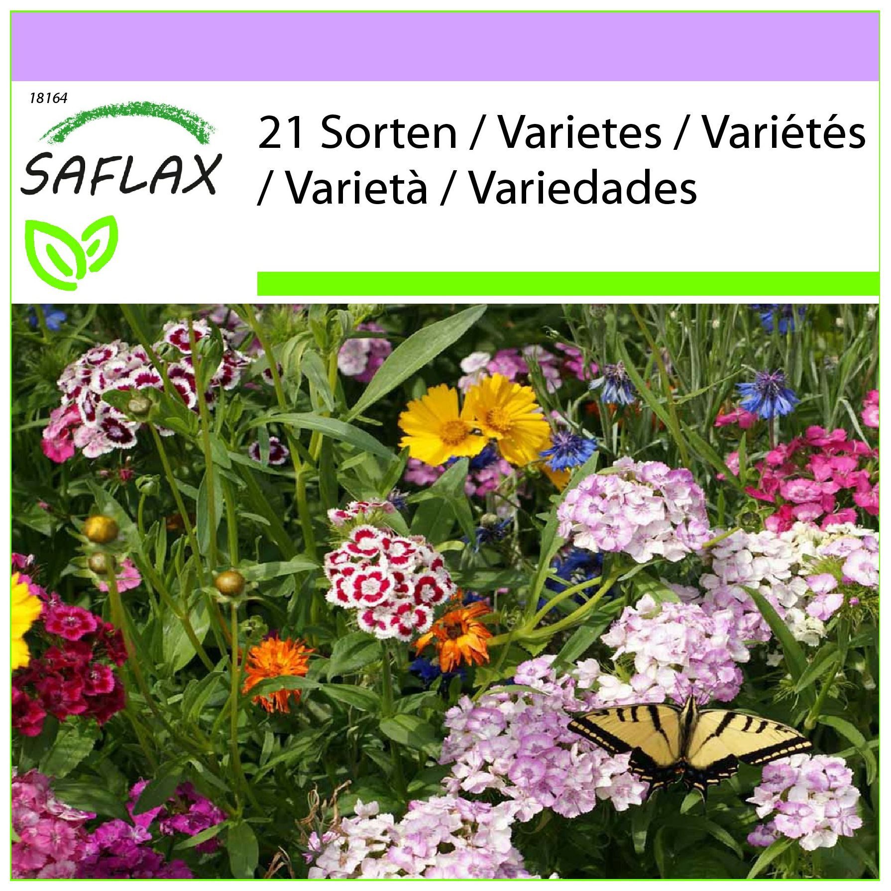 SAFLAX Blumensamen SAFLAX - Samen - Schmetterlingswiese
