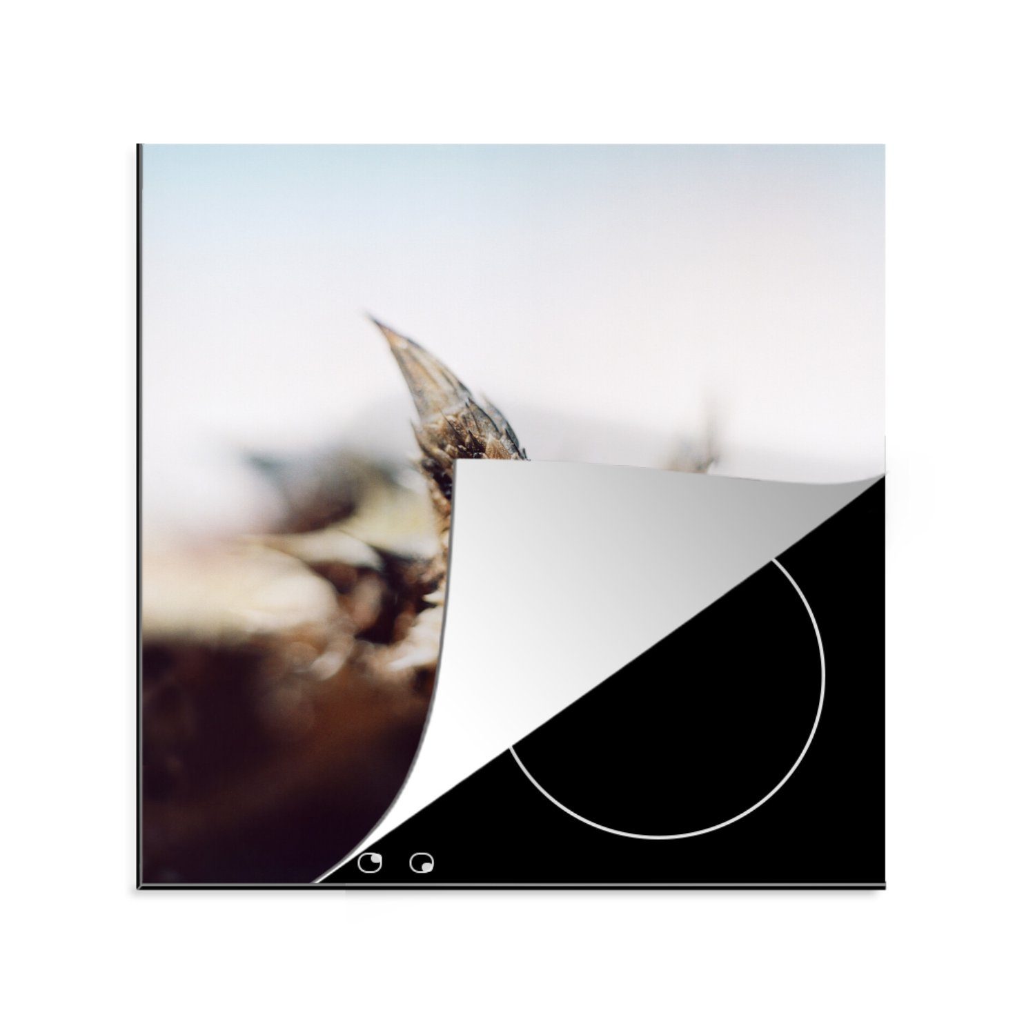 MuchoWow Herdblende-/Abdeckplatte Bergteufel auf unscharfem Hintergrund, Vinyl, (1 tlg), 78x78 cm, Ceranfeldabdeckung, Arbeitsplatte für küche