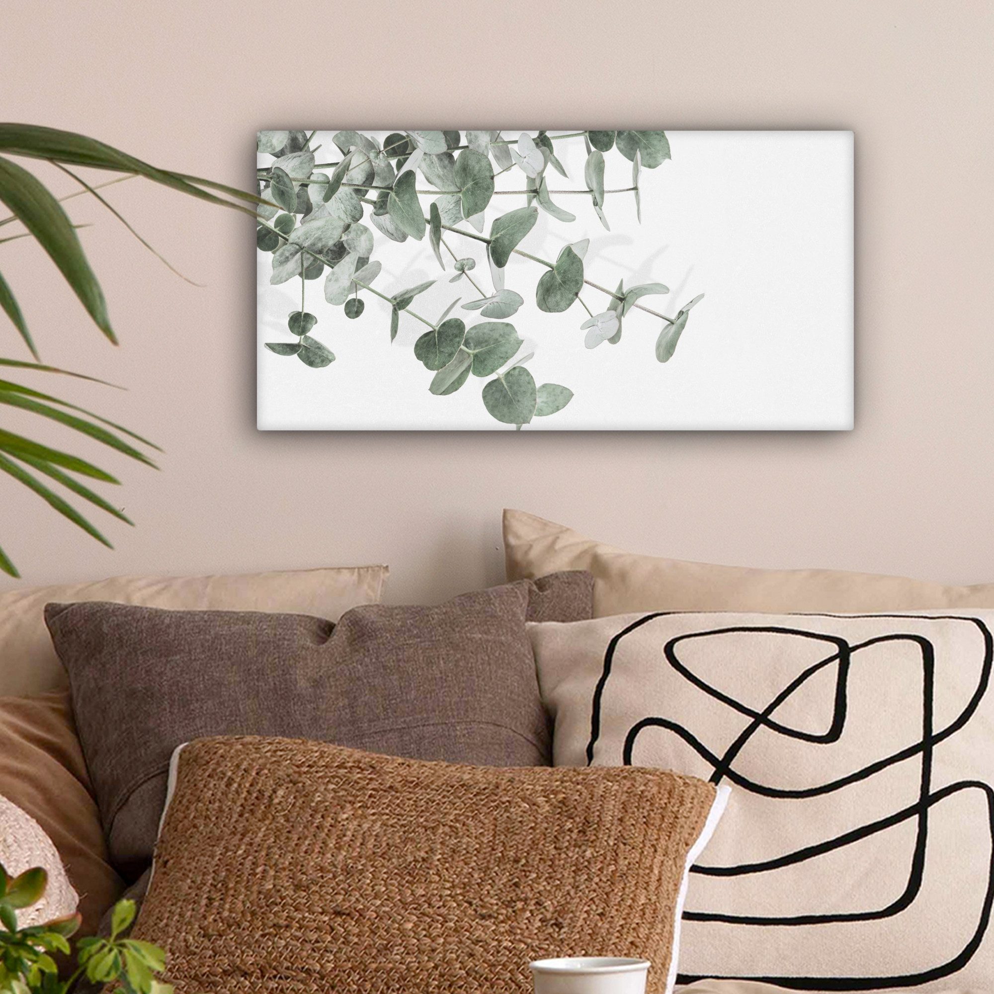 OneMillionCanvasses® Leinwandbild Panorama Eukalyptus - Blätter - Natur - G günstig online kaufen