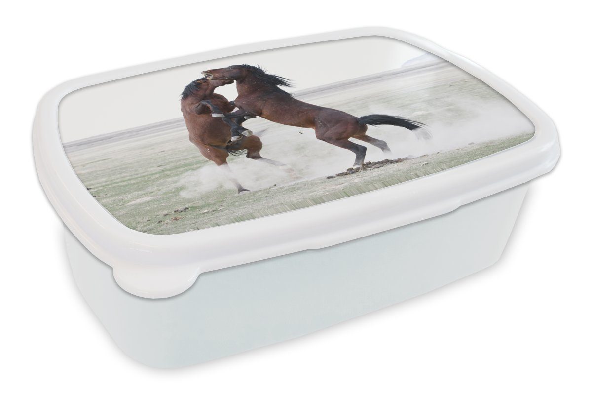 MuchoWow Lunchbox Wildpferde testen sich gegenseitig, Kunststoff, (2-tlg), Brotbox für Kinder und Erwachsene, Brotdose, für Jungs und Mädchen weiß