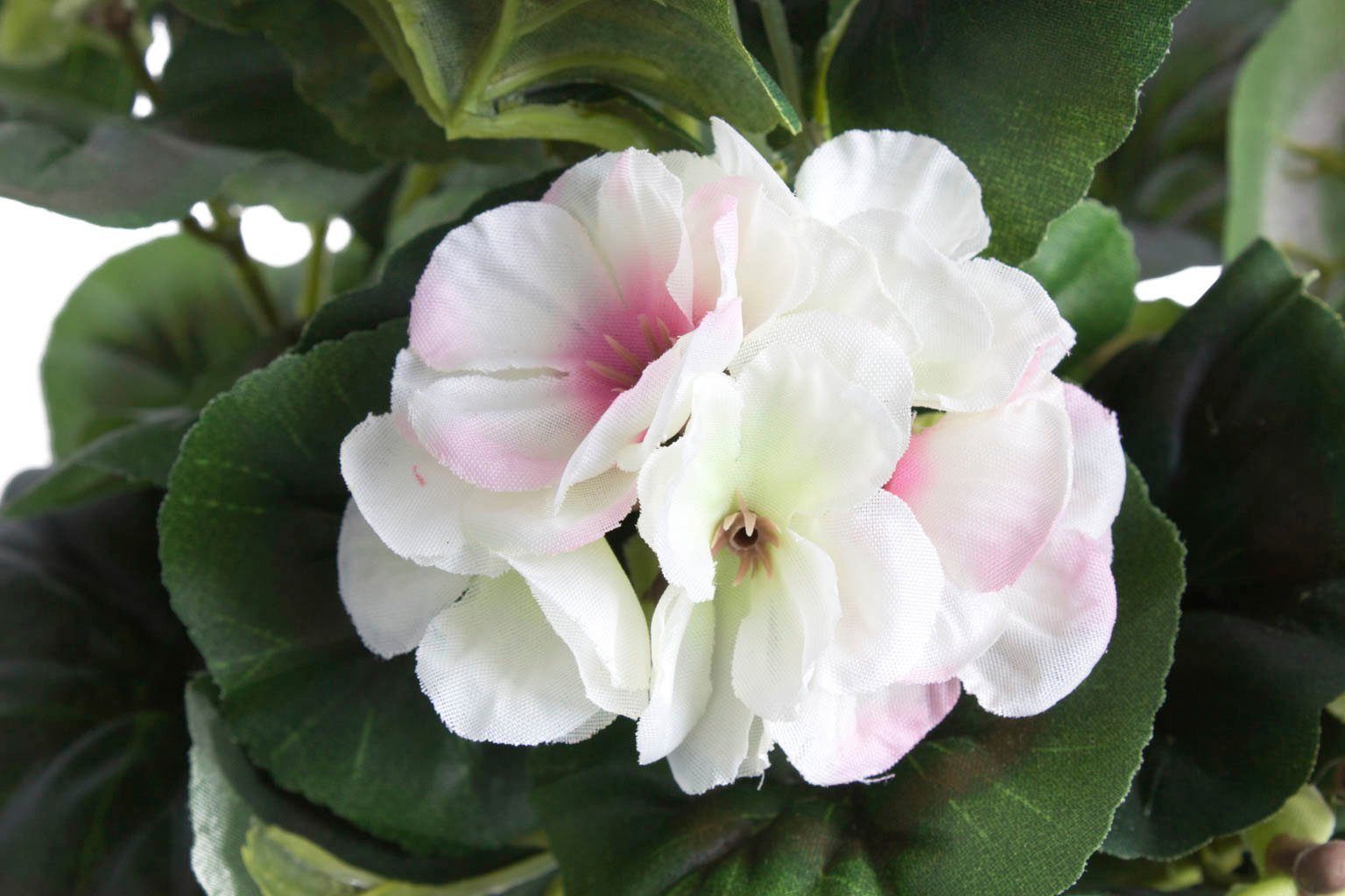 Kunstblume »Geranienbusch« Geranie, Botanic-Haus, Höhe 39 cm-HomeTrends