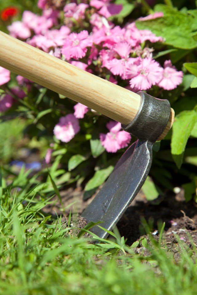 Krumpholz Gartenpflege-Set Krumpholz Handhacke, Regensburger Form, mit Eschen-Kuhfußstiel (48 cm)