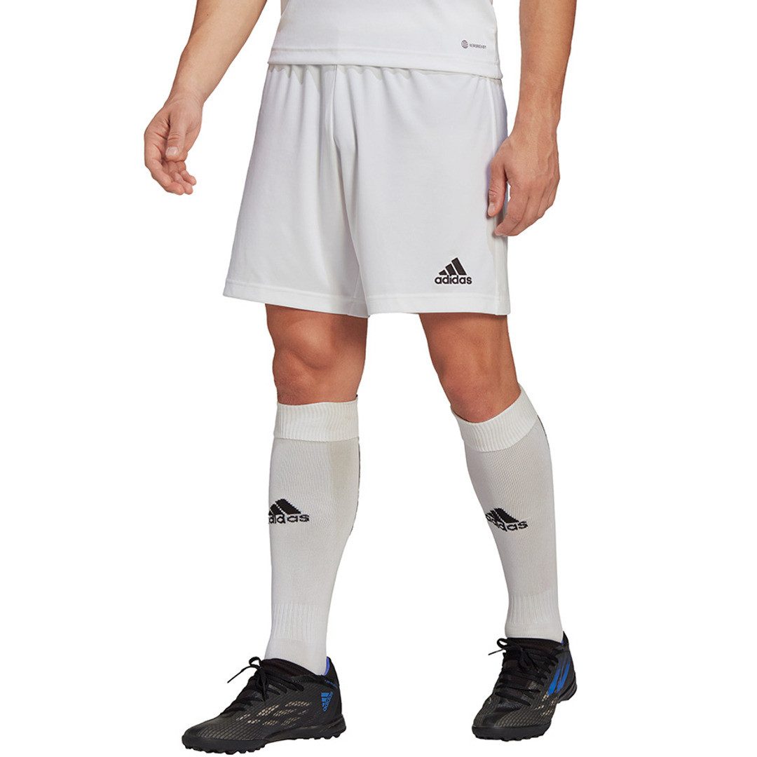 adidas Performance Trainingsshorts Entrada 22