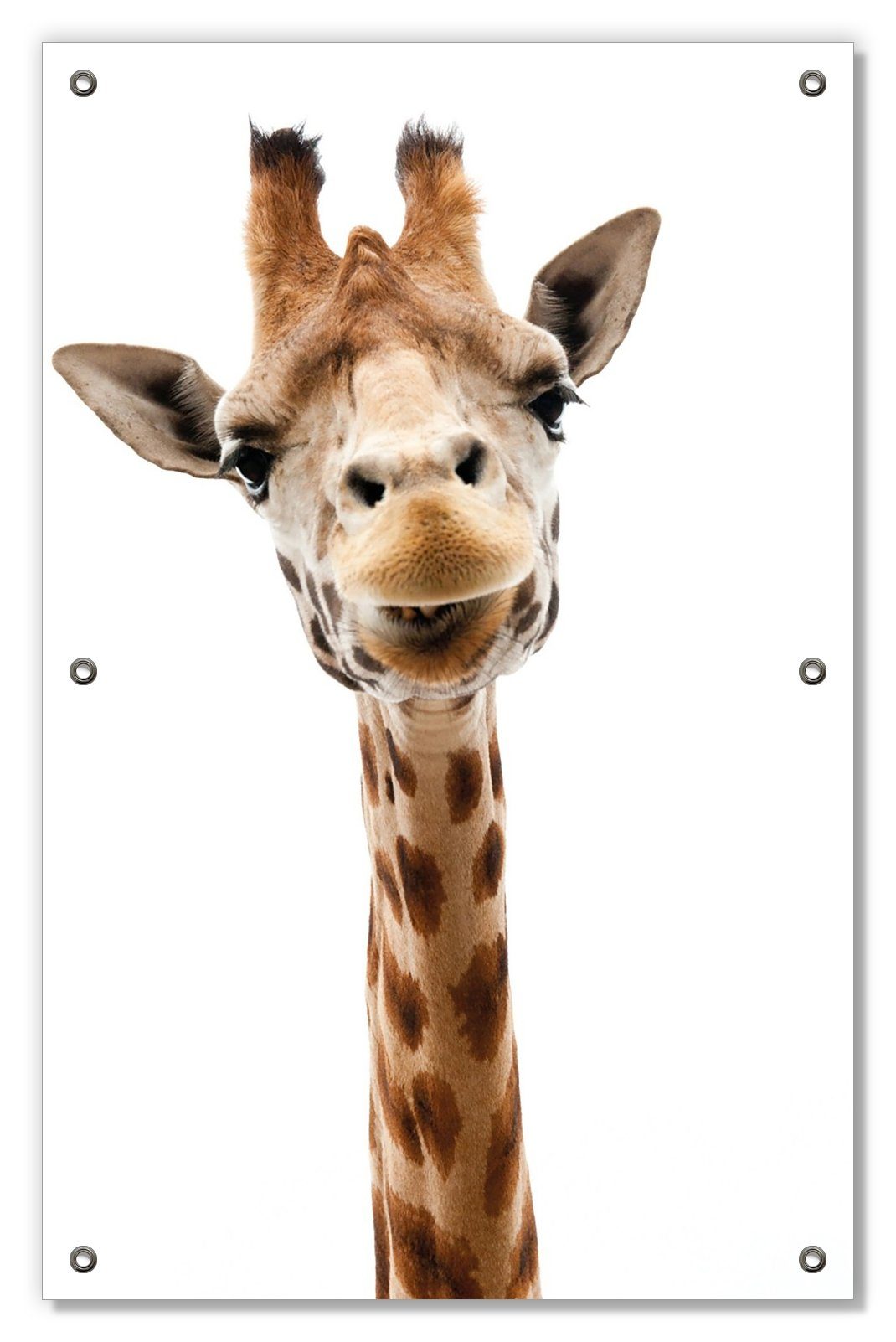 Sonnenschutz Giraffenkopf, Wallario, blickdicht, mit Saugnäpfen, wiederablösbar und wiederverwendbar