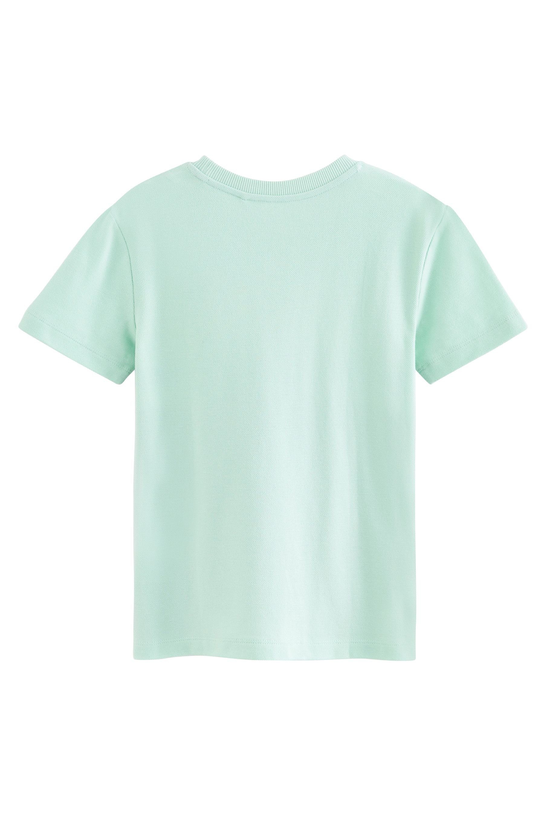 Next T-Shirt Blockfarben Green T-Shirt in Mint (1-tlg)