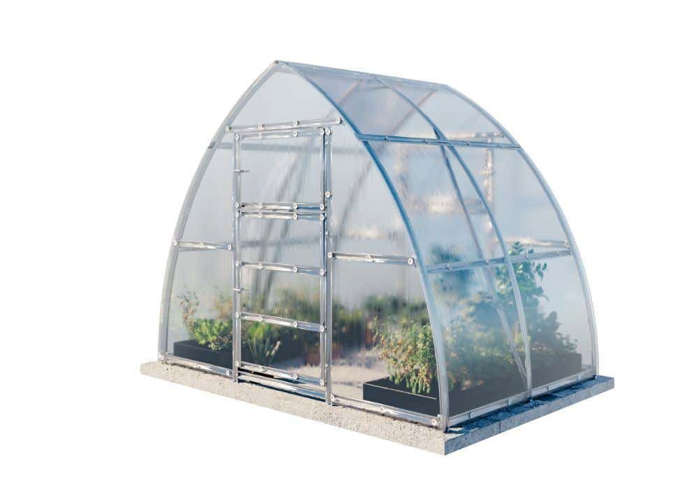 Terrando Gewächshaus Viola 3x2m, 4mm |... Terrando Gewächshaus Viola 3x2m, 4mm |...