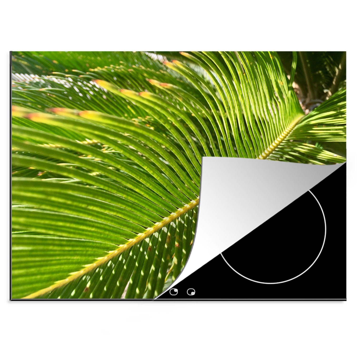 70x52 Mobile Sagopalmenblatts, eines hellgrünen Herdblende-/Abdeckplatte (1 nutzbar, Arbeitsfläche Ceranfeldabdeckung Nahaufnahme Vinyl, cm, tlg), MuchoWow