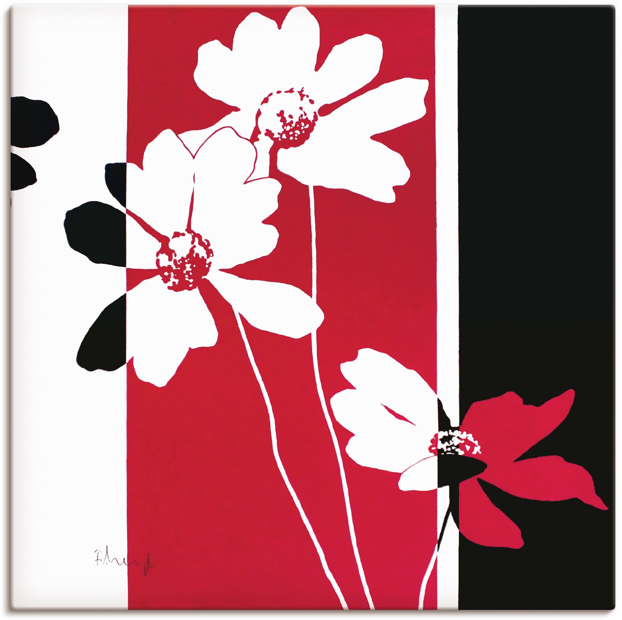 St), (1 Größen Blumen Wandaufkleber als Poster Artland versch. in Varition, Leinwandbild, oder Wandbild Anemonen