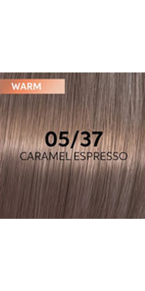 Wella Haarfarbe Wella ShineFinity Zero Lift Glaze 05/37 Caramel Espresso 60ml