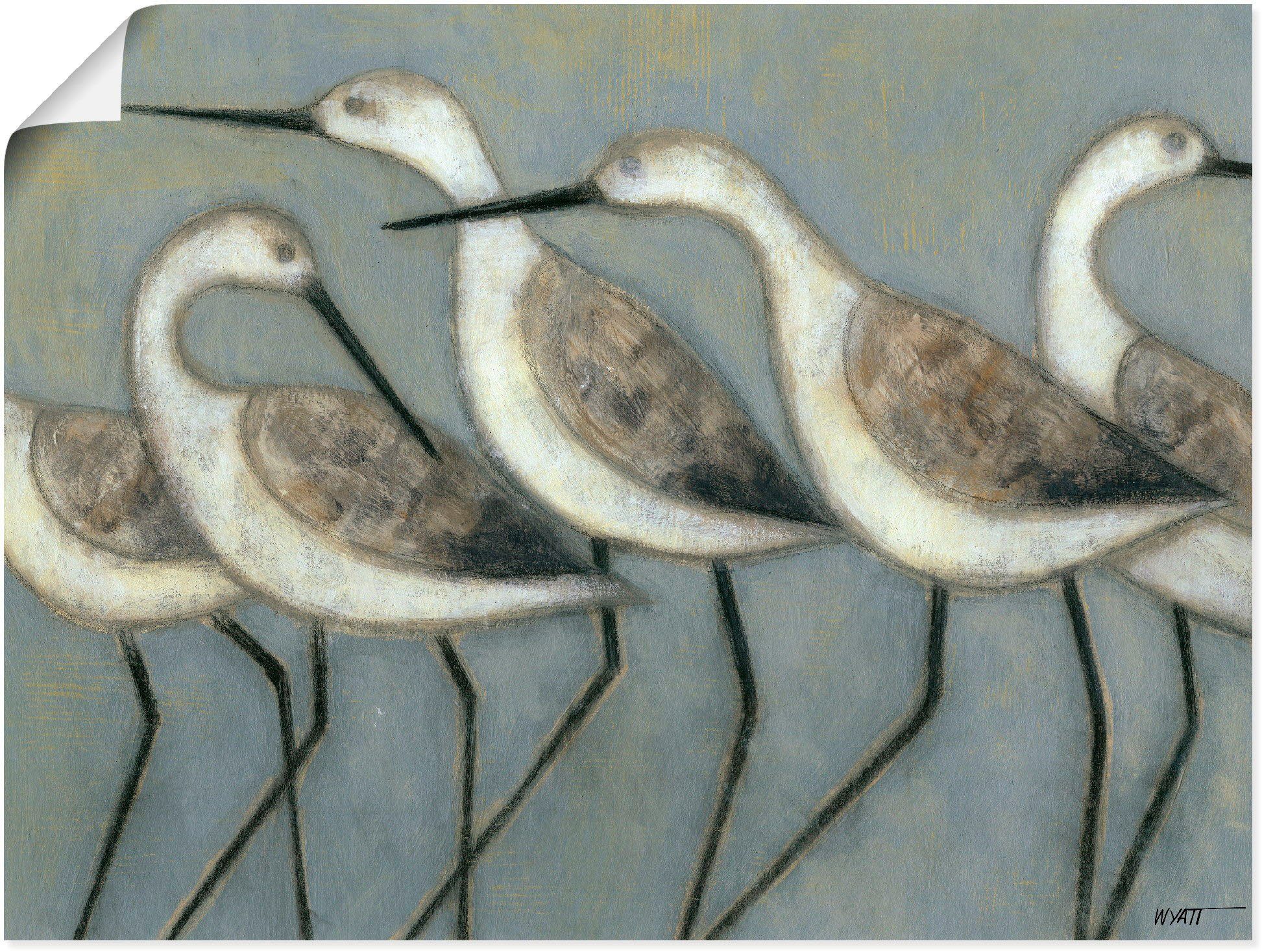 Artland Wandbild Küstenvögel I, Vögel (1 St), als Leinwandbild, Poster in verschied. Größen
