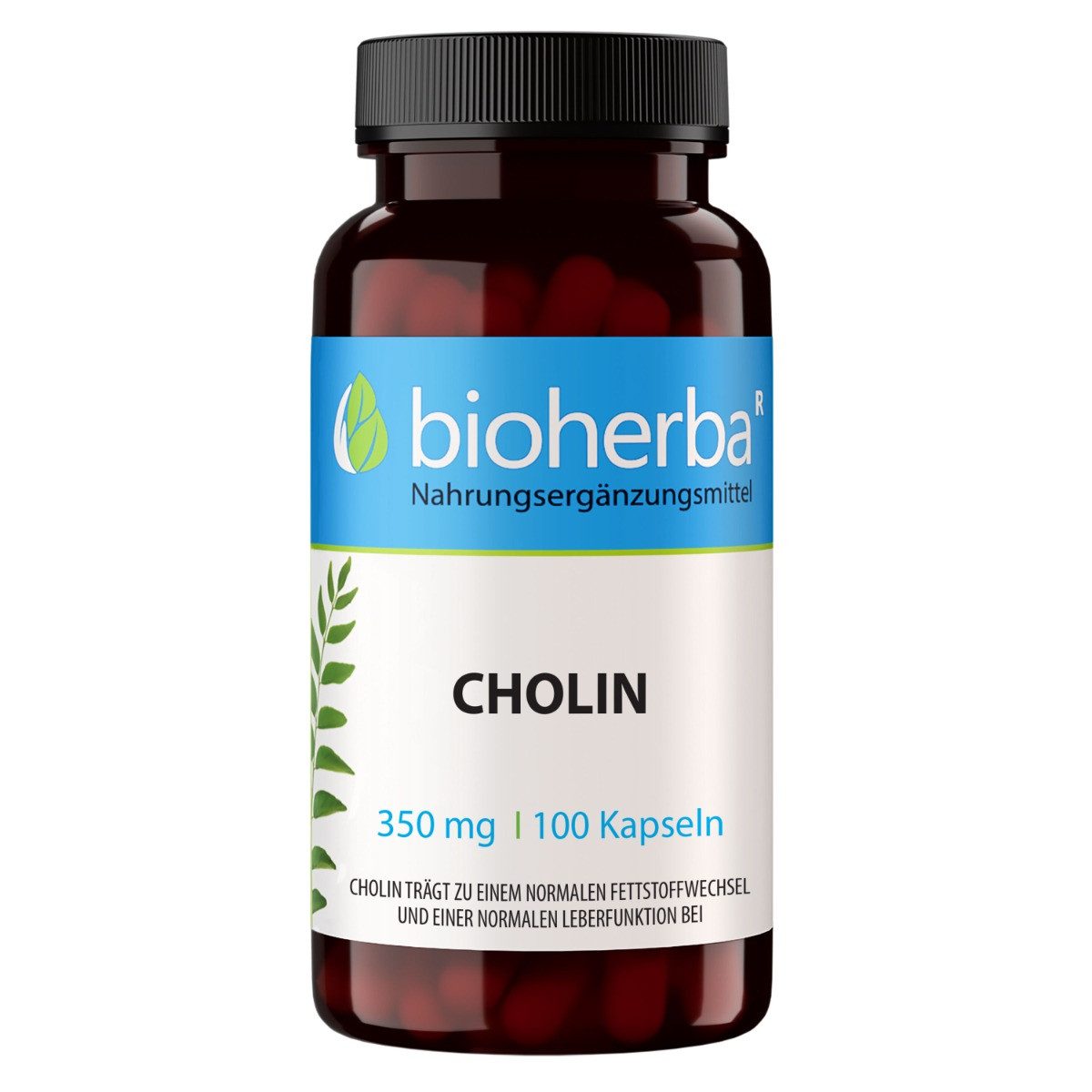 BIOHERBA R Bioherba Cholin 350 mg 100 Kapseln Nahrungsergänzungsmittel, 1 er