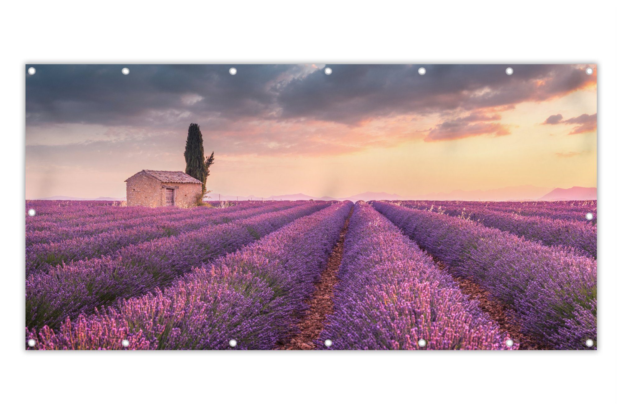 MuchoWow Balkonsichtschutz Lavendel Blumen Lila Feld (1St