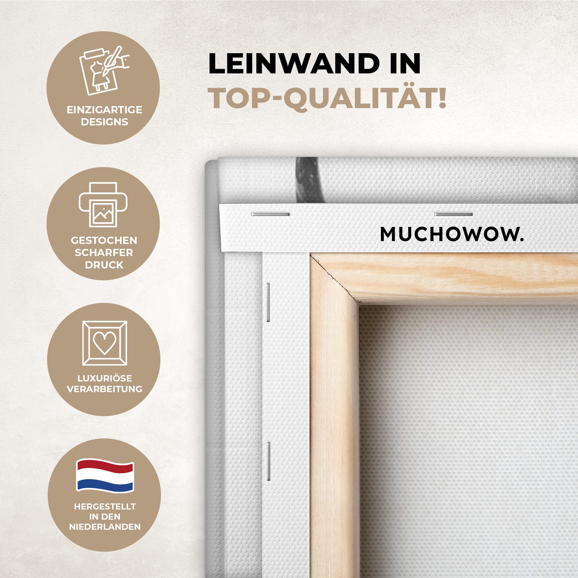OneMillionCanvasses® Leinwandbild Schottischer Highlander - Tier - Dusche - günstig online kaufen