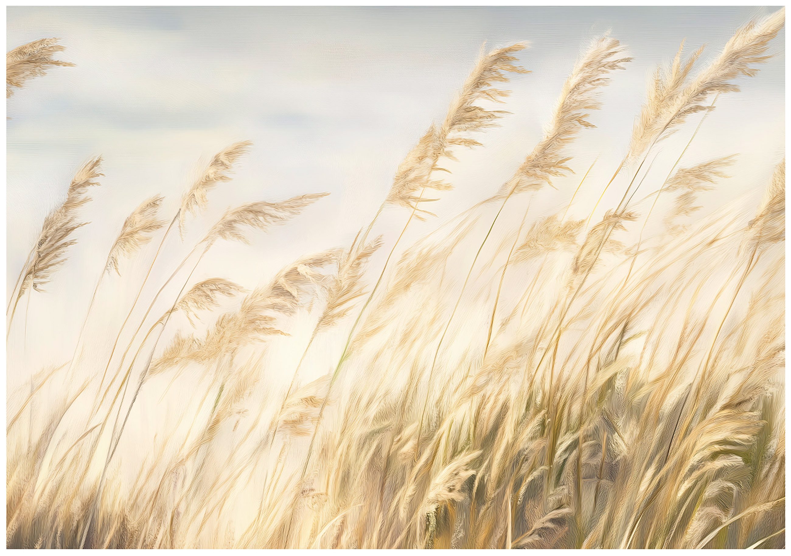 Wallarena Fototapete Wildes Gras Natur Gelb Vlies Tapete Wohnzimmer Schlafz günstig online kaufen