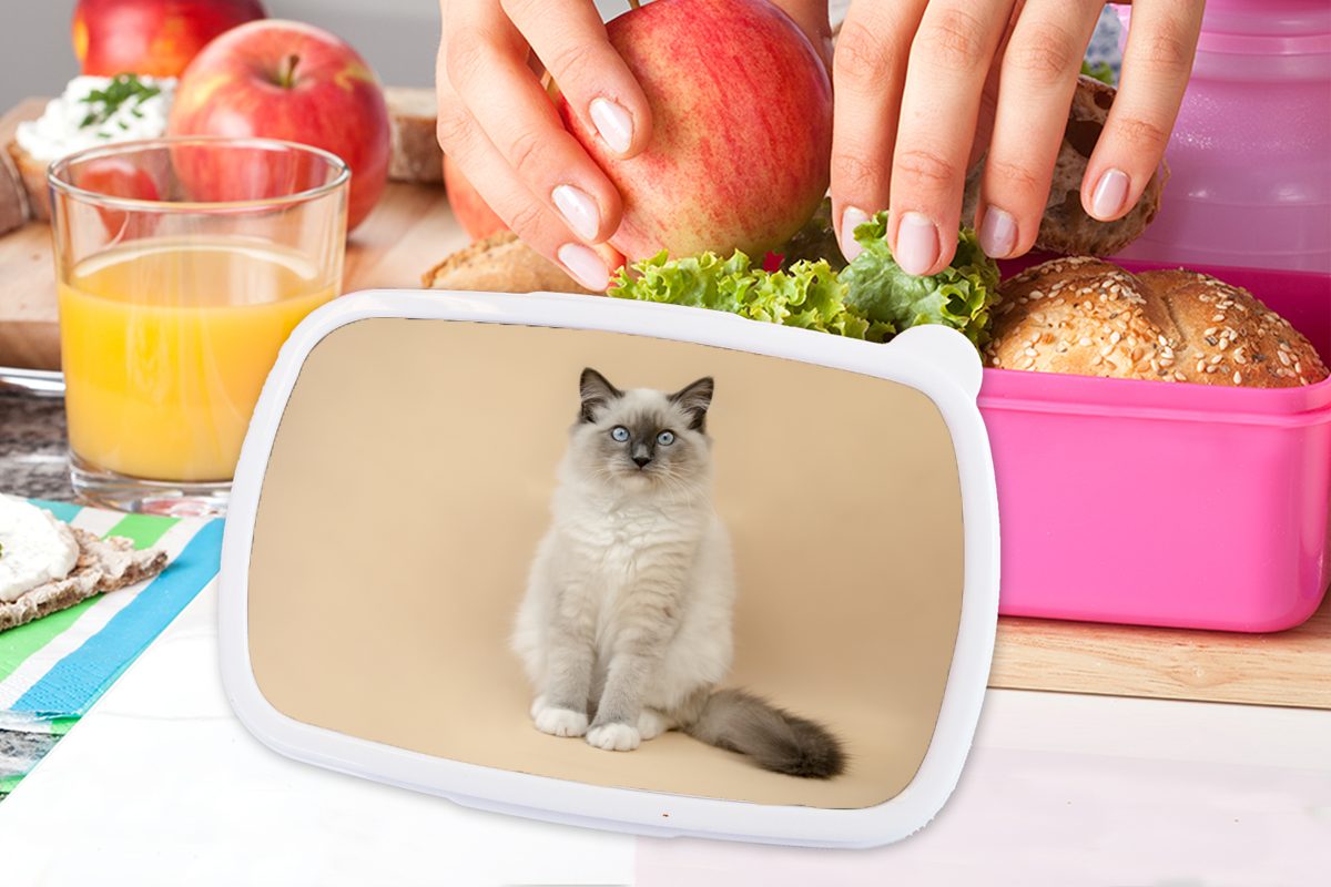 Kunststoff, Lunchbox Kinder, Erwachsene, Kinder Jungen Mädchen, - - Mädchen - Porträt - MuchoWow - rosa Kinder, Siamese - Brotdose Katze Kunststoff Snackbox, Brotbox (2-tlg), für