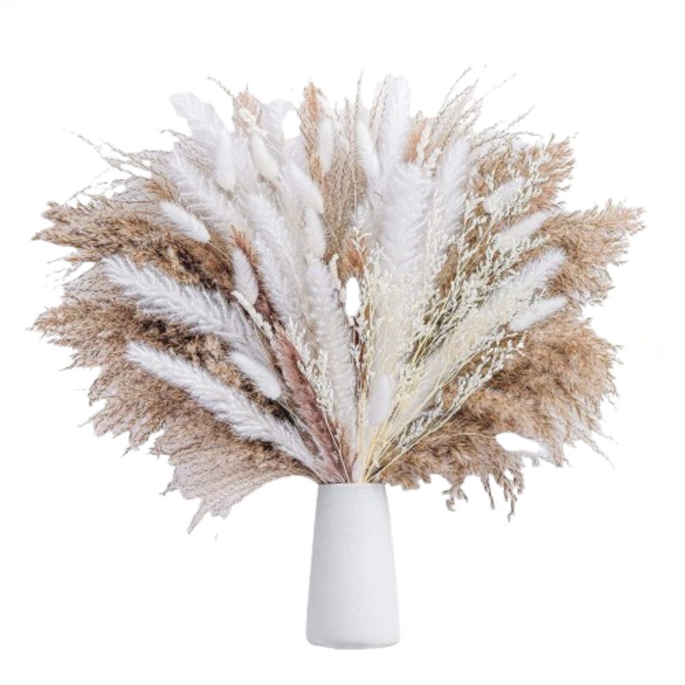 Trockenblume Kleiner getrockneter Blumenstrauß aus Schilfrohr günstig online kaufen