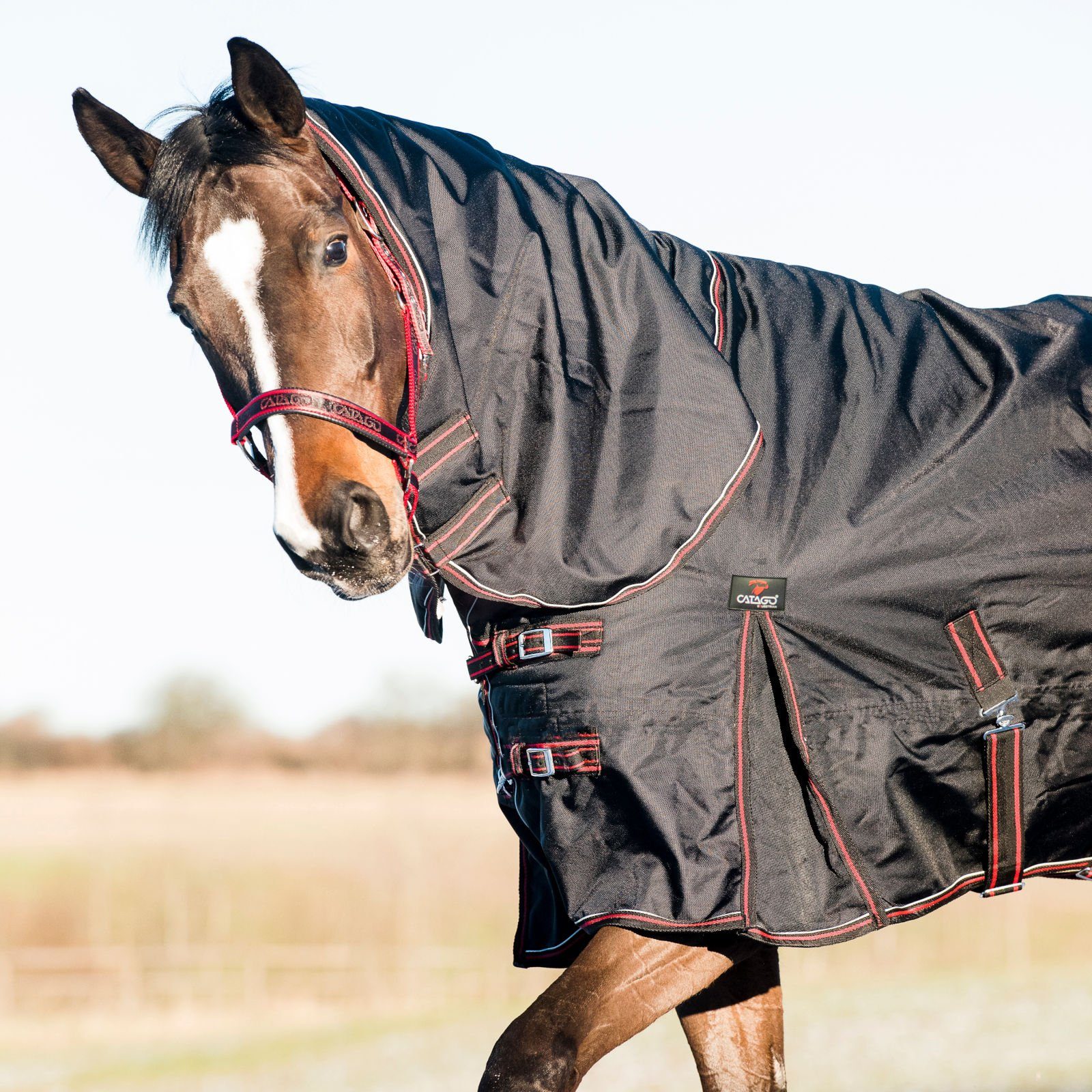 300g schwarz für Outdoordecke Pferde-Thermodecke - 1680D Endurance CATAGO Pferde,