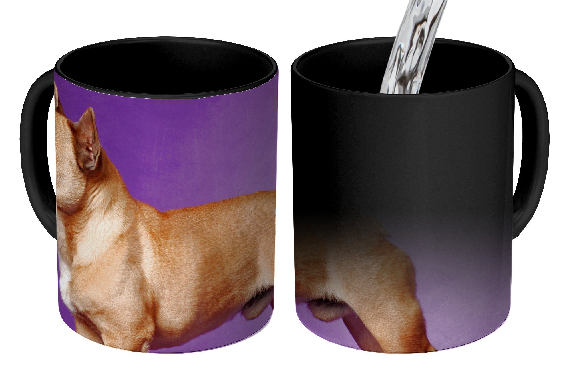 MuchoWow Tasse Französische Bulldogge Lila, Braun Zaubertasse, Keramik, - - Kaffeetassen, Teetasse, Geschenk Farbwechsel
