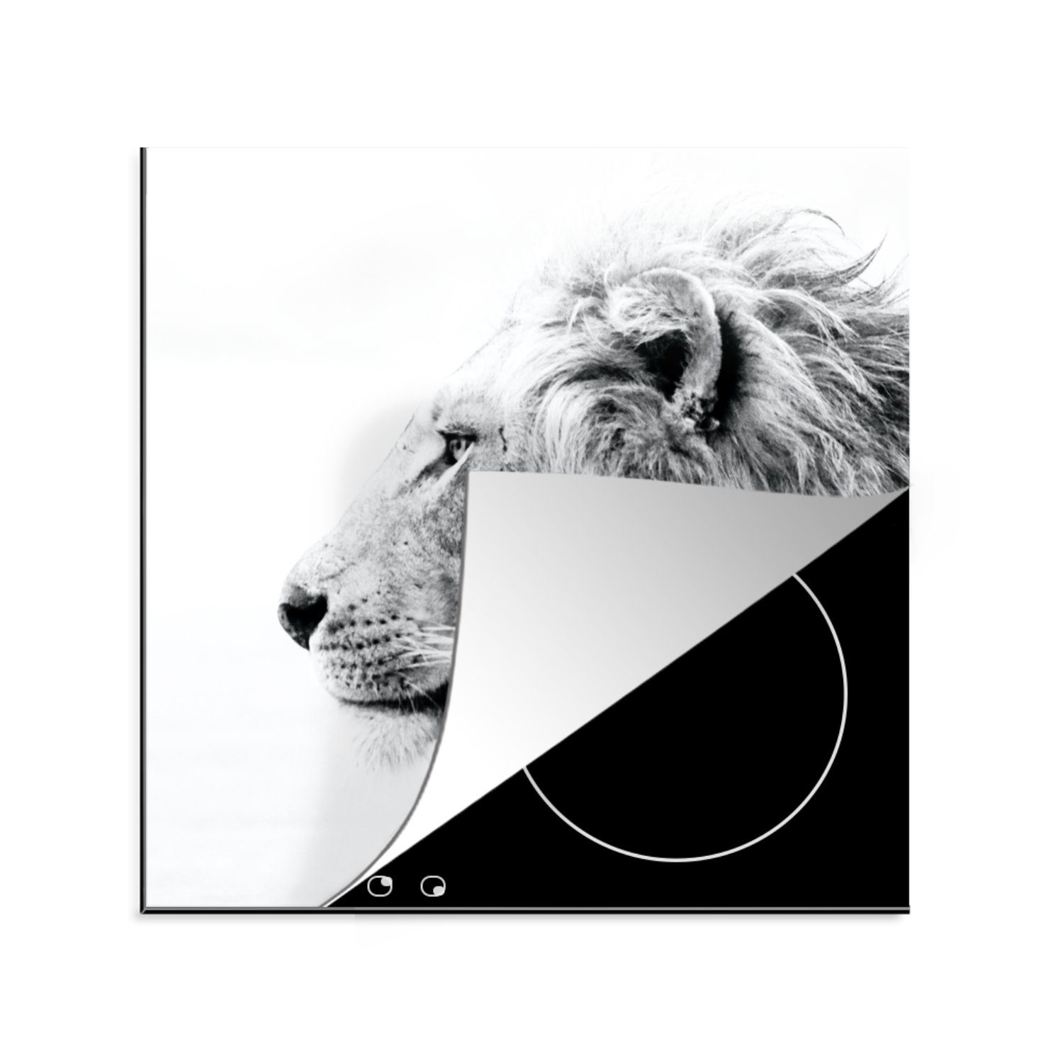 MuchoWow Herdblende-/Abdeckplatte Löwe - Schwarz - Weiß - Tiere, Vinyl, (1 tlg), 78x78 cm, Ceranfeldabdeckung, Arbeitsplatte für küche
