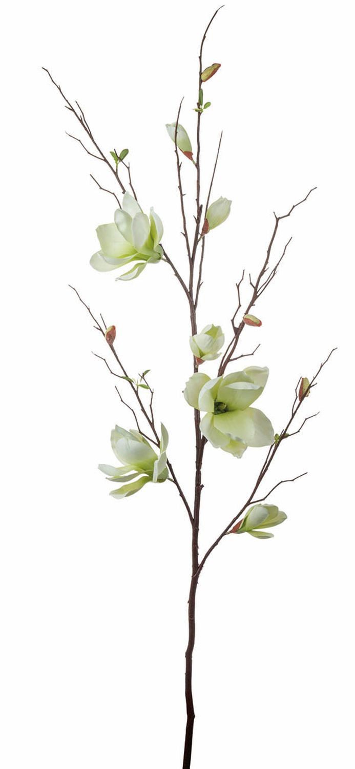 Kunstzweig Deko Magnolienzweig GLIVOR, Creme-grün, 115cm Magnolie, artplants, Höhe 115.0 cm