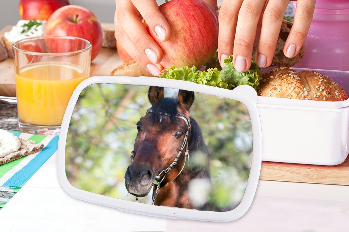 Pferde Mädchen - Jungs und - für Tiere, Lunchbox MuchoWow (2-tlg), für Brotbox Blüte - Frühling Erwachsene, Brotdose, Kunststoff, Kinder weiß und