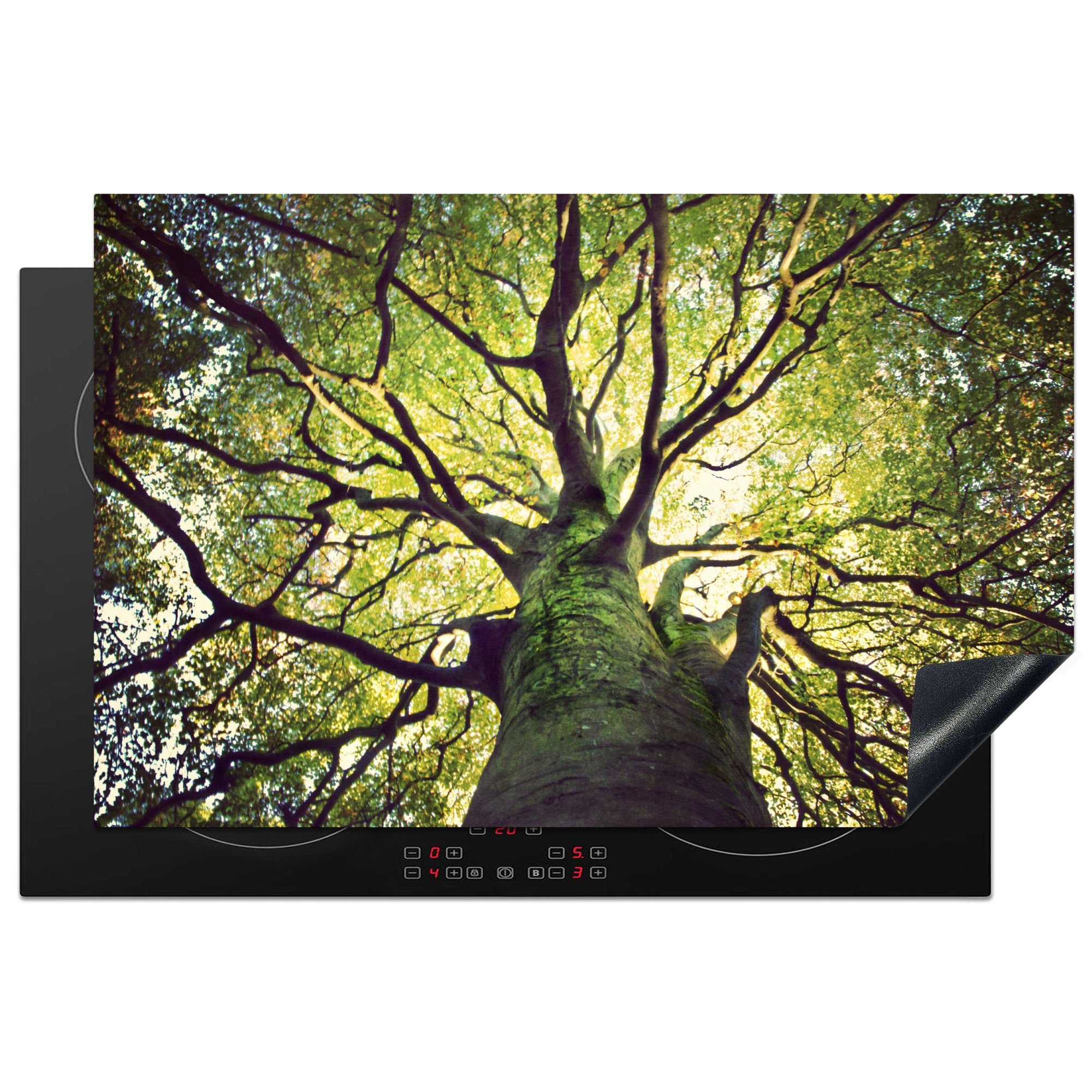 MuchoWow Herdblende-/Abdeckplatte Beruhigende Zweige eines grünen Baumes, Vinyl, (1 tlg), 81x52 cm, Induktionskochfeld Schutz für die küche, Ceranfeldabdeckung