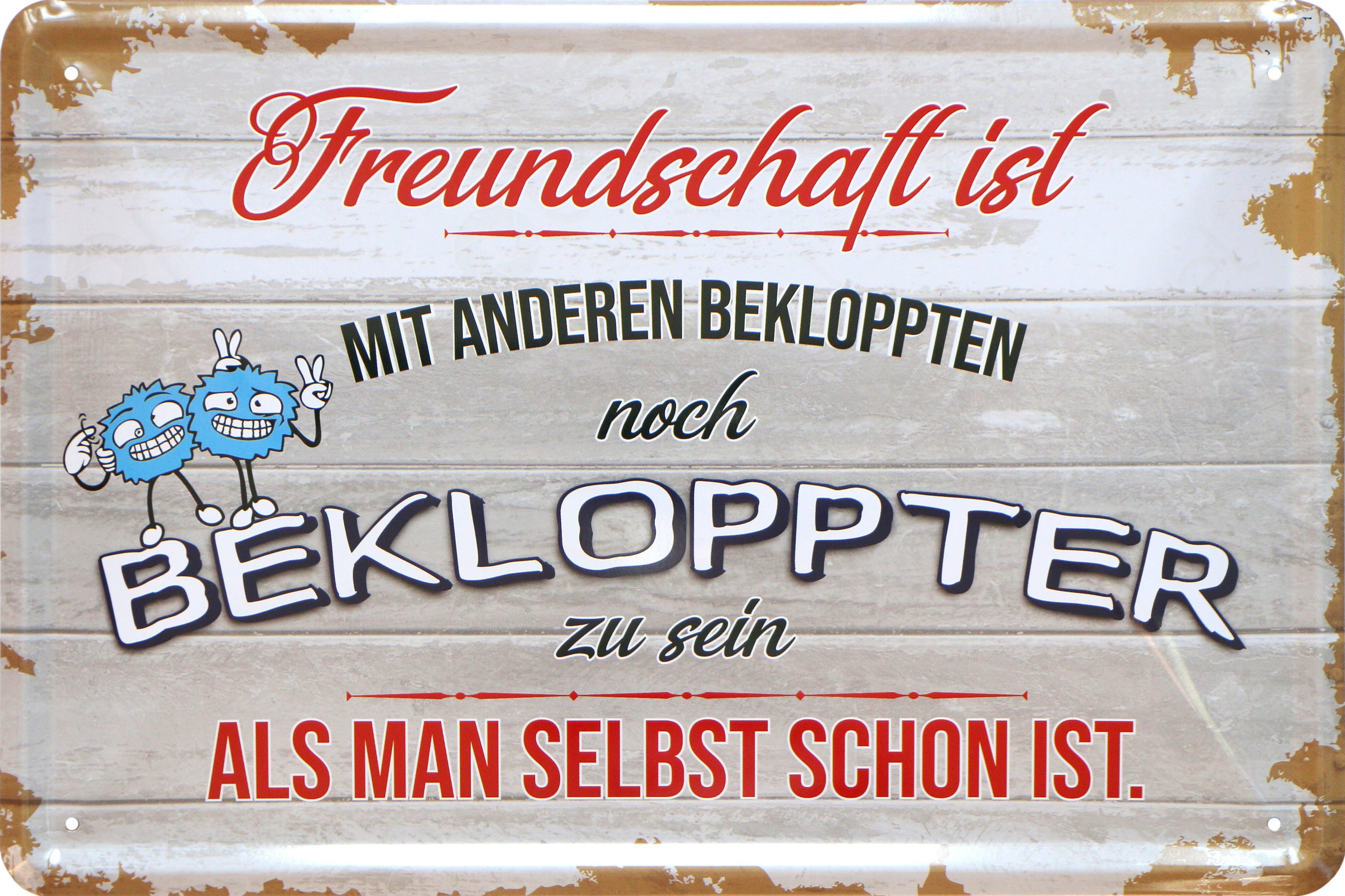 WOGEKA ART Metallbild Freundschaft ist 20 x 30 cm Retro Blechschild