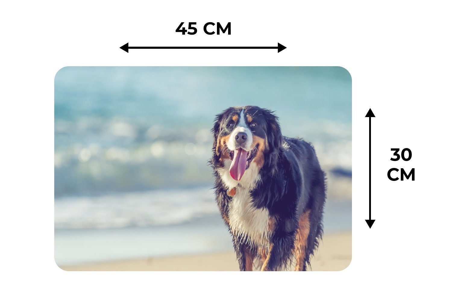 Ein Platzdecken, Platzset, MuchoWow, am Sennenhund Platzset, Berner (6-St), Platzmatte, Schmutzabweisend Spaziergang Tischmatten, beim Strand,