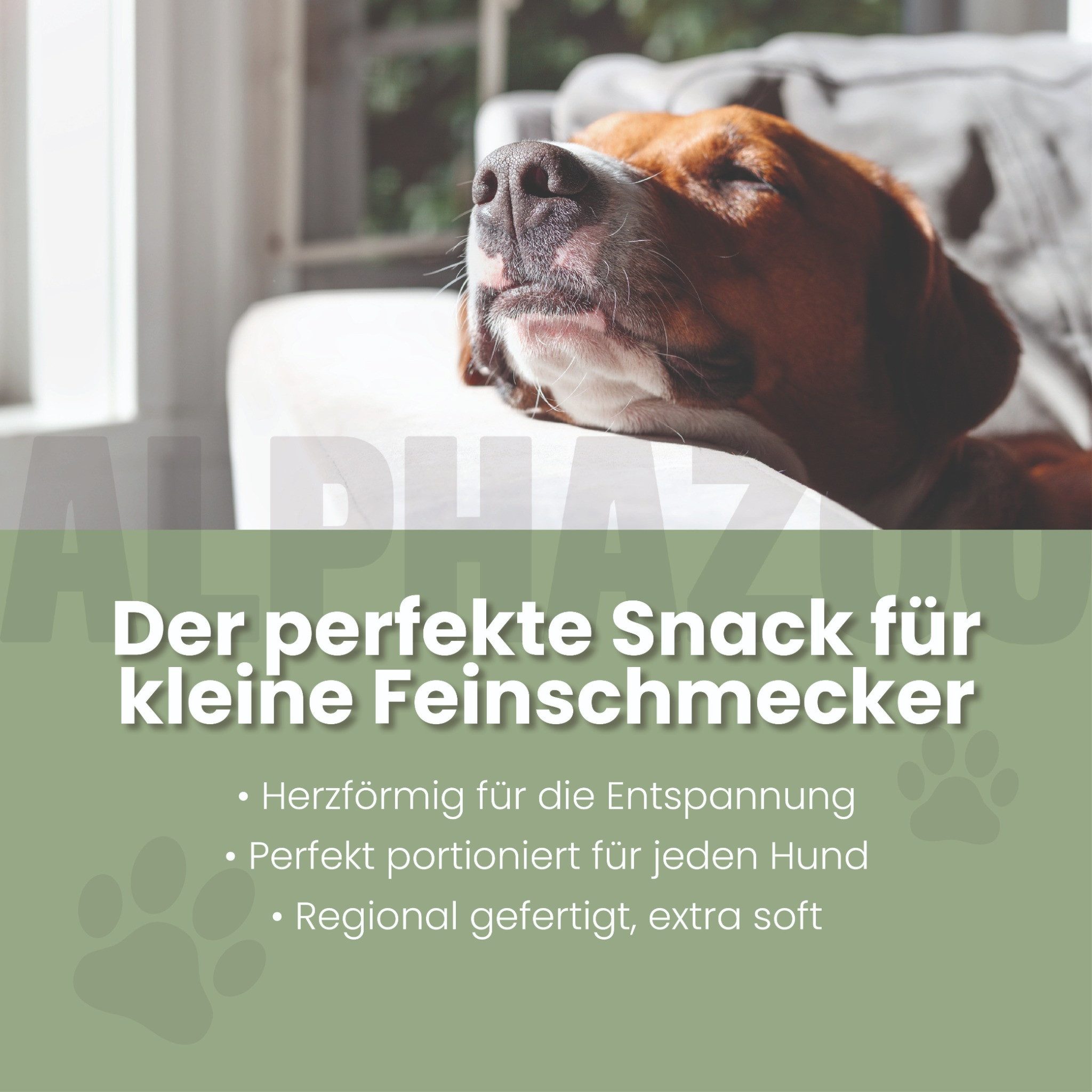 ALPHAZOO In Aller Seelenruhe 60g, Beruhigungssnack für Hunde, Snack für: Hunde, Weicher Anti Stress Snack zur Entspannung
