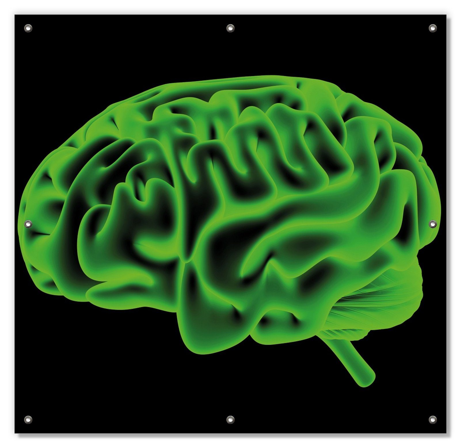 Sonnenschutz Menschliches Gehirn in leuchtend grüner Farbe, Wallario, blickdicht, mit Saugnäpfen, wiederablösbar und wiederverwendbar